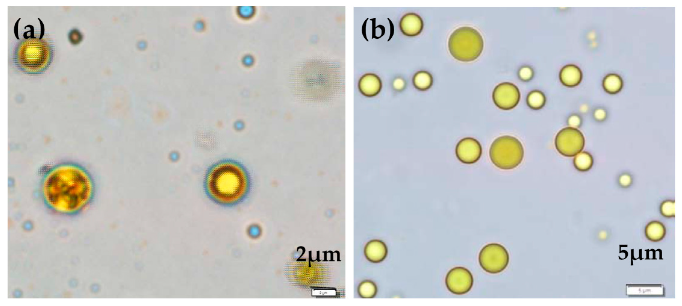 Pharmaceutics 11 00451 g001