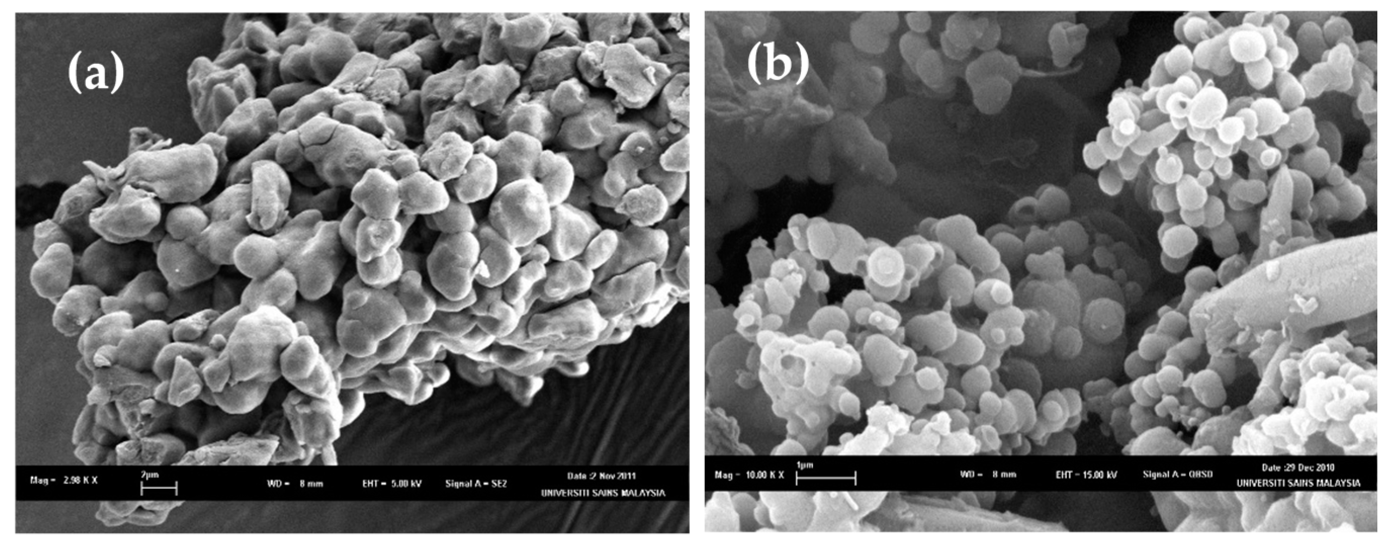 Pharmaceutics 11 00451 g002