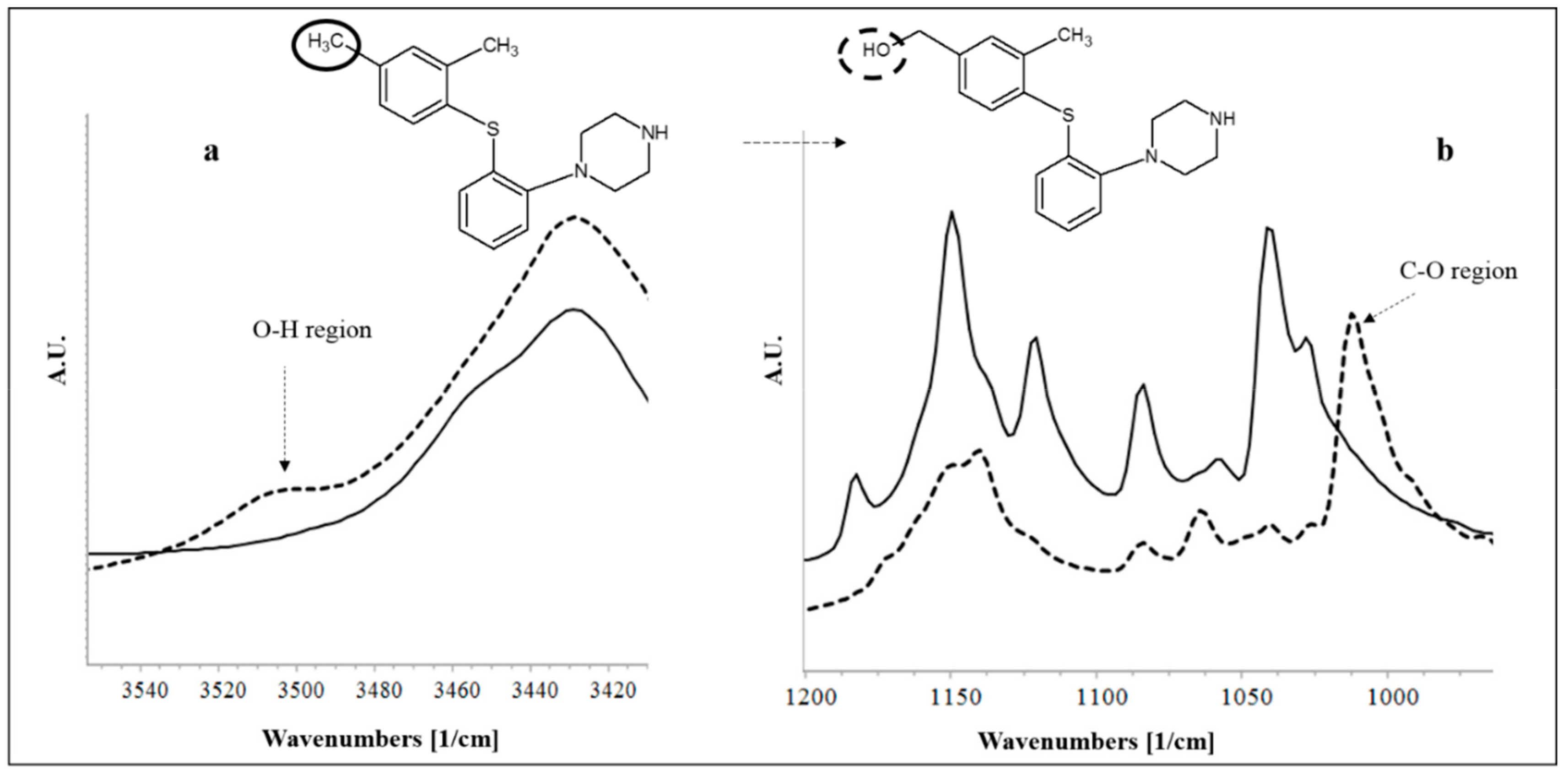 Pharmaceutics 11 00457 g002