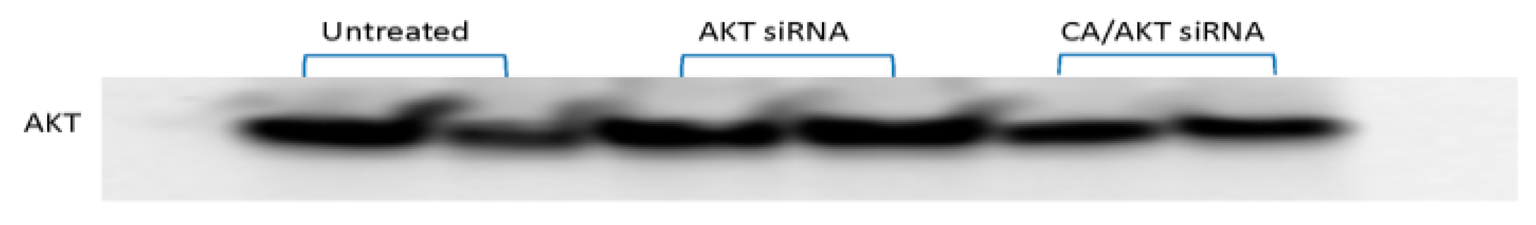 Pharmaceutics 11 00458 g001