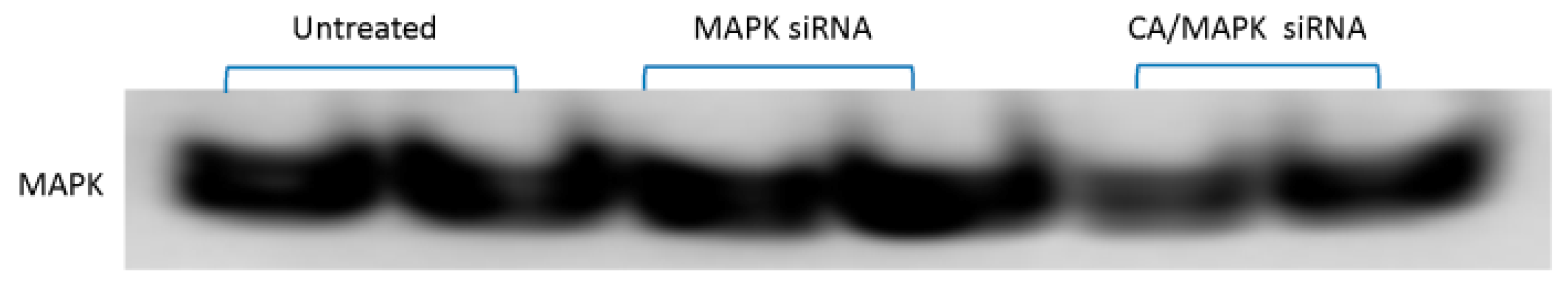 Pharmaceutics 11 00458 g002