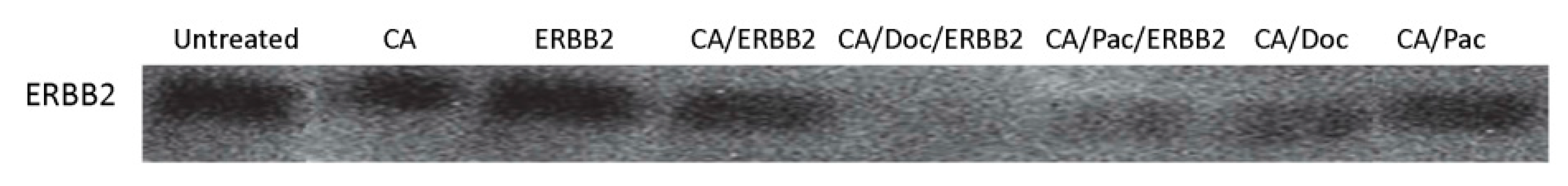 Pharmaceutics 11 00458 g005