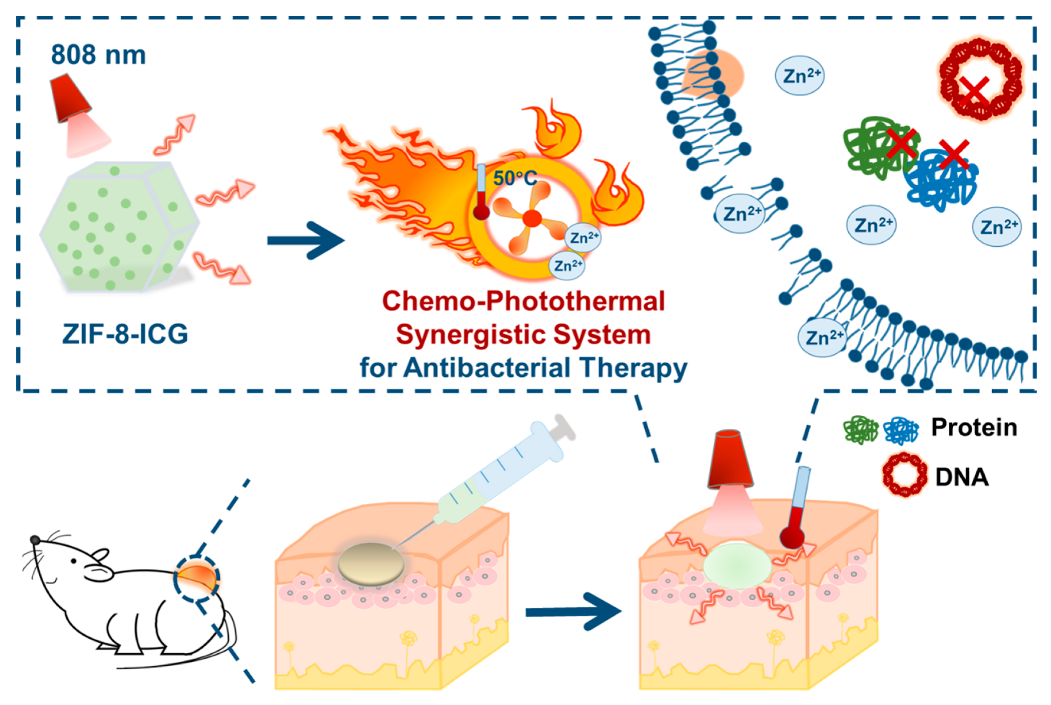 Pharmaceutics 11 00463 sch001 Pharmaceutics 11 00463 sch001