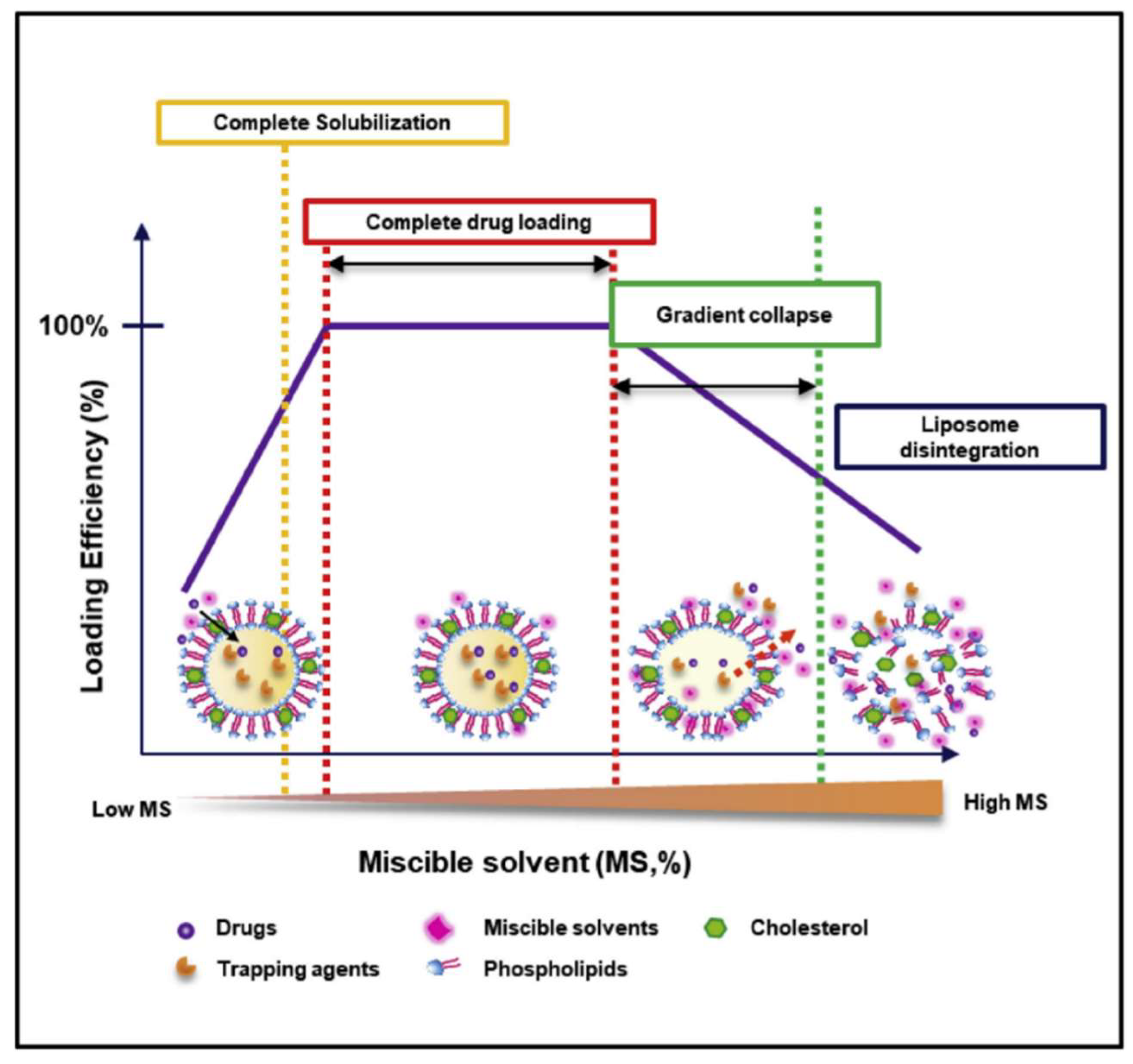 Pharmaceutics 11 00465 g004