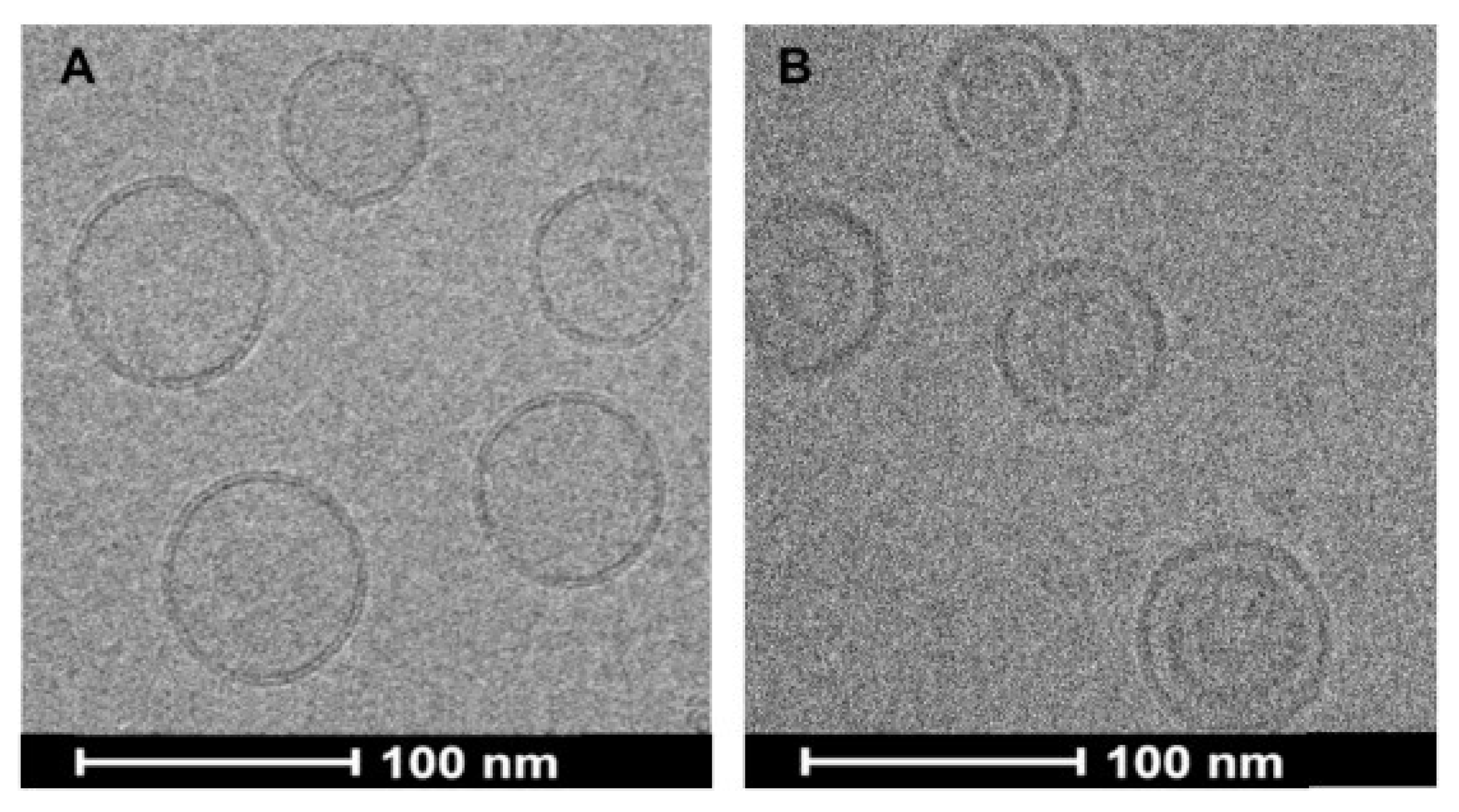Pharmaceutics 11 00465 g005