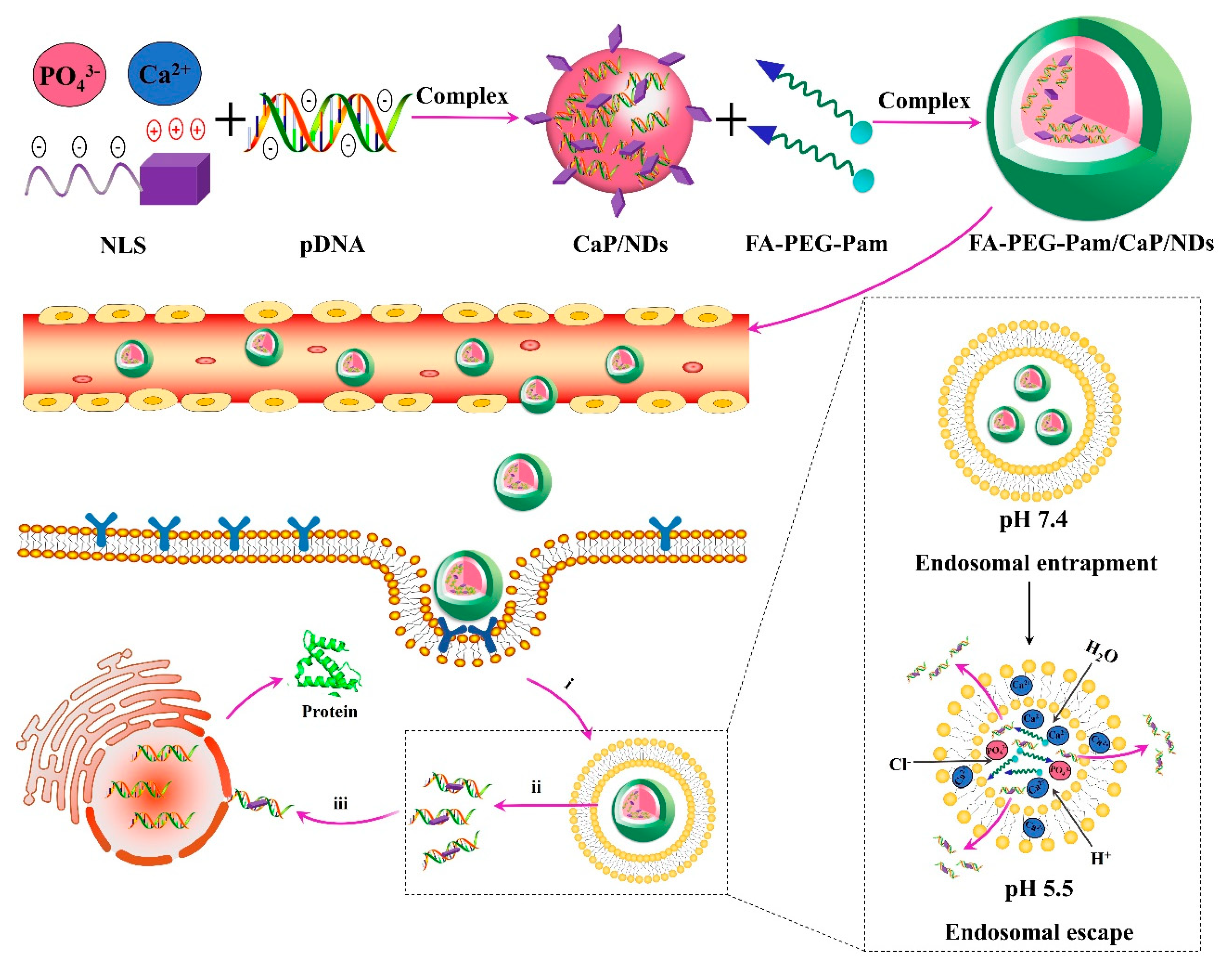 Pharmaceutics 11 00468 g001