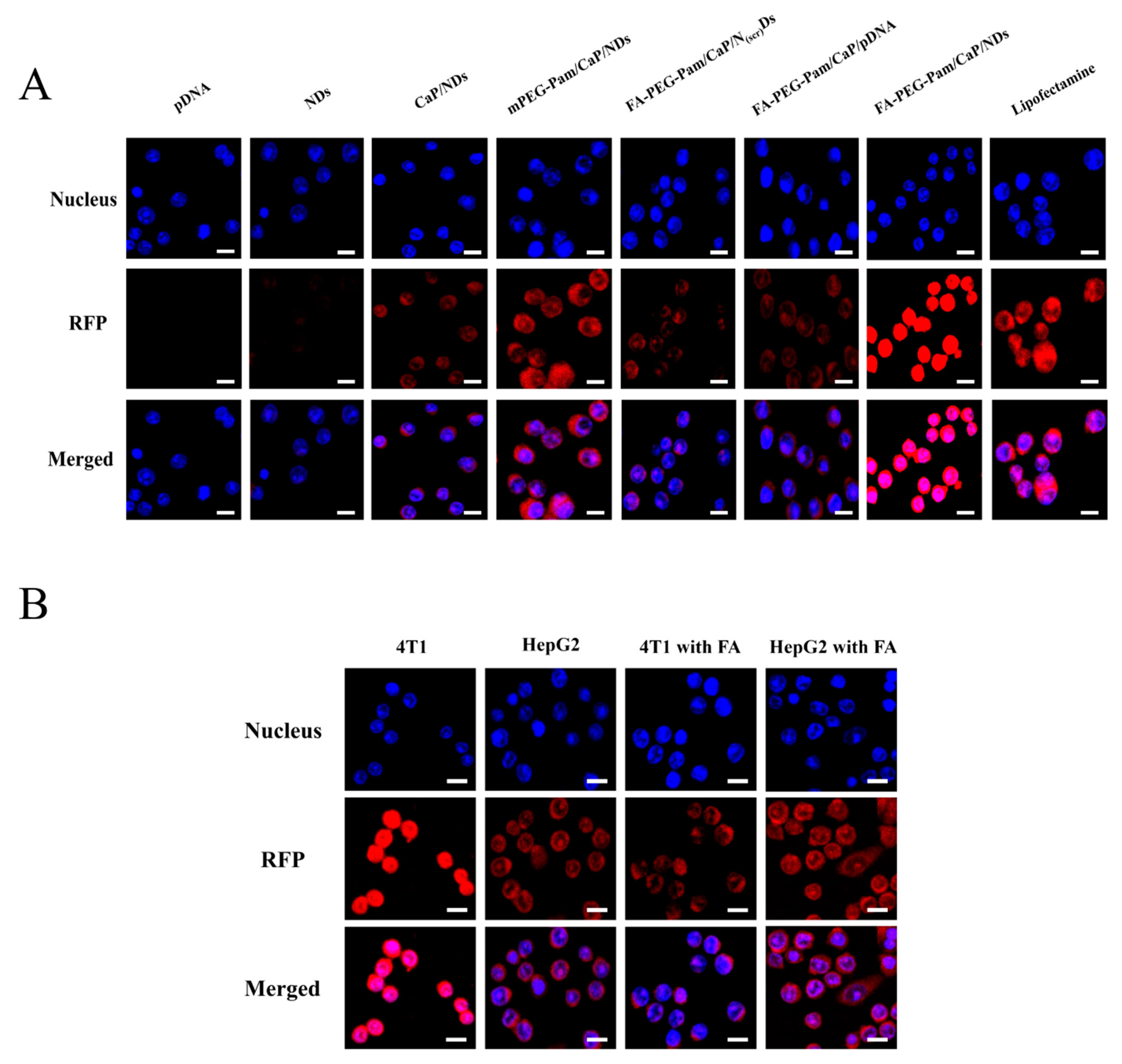 Pharmaceutics 11 00468 g005