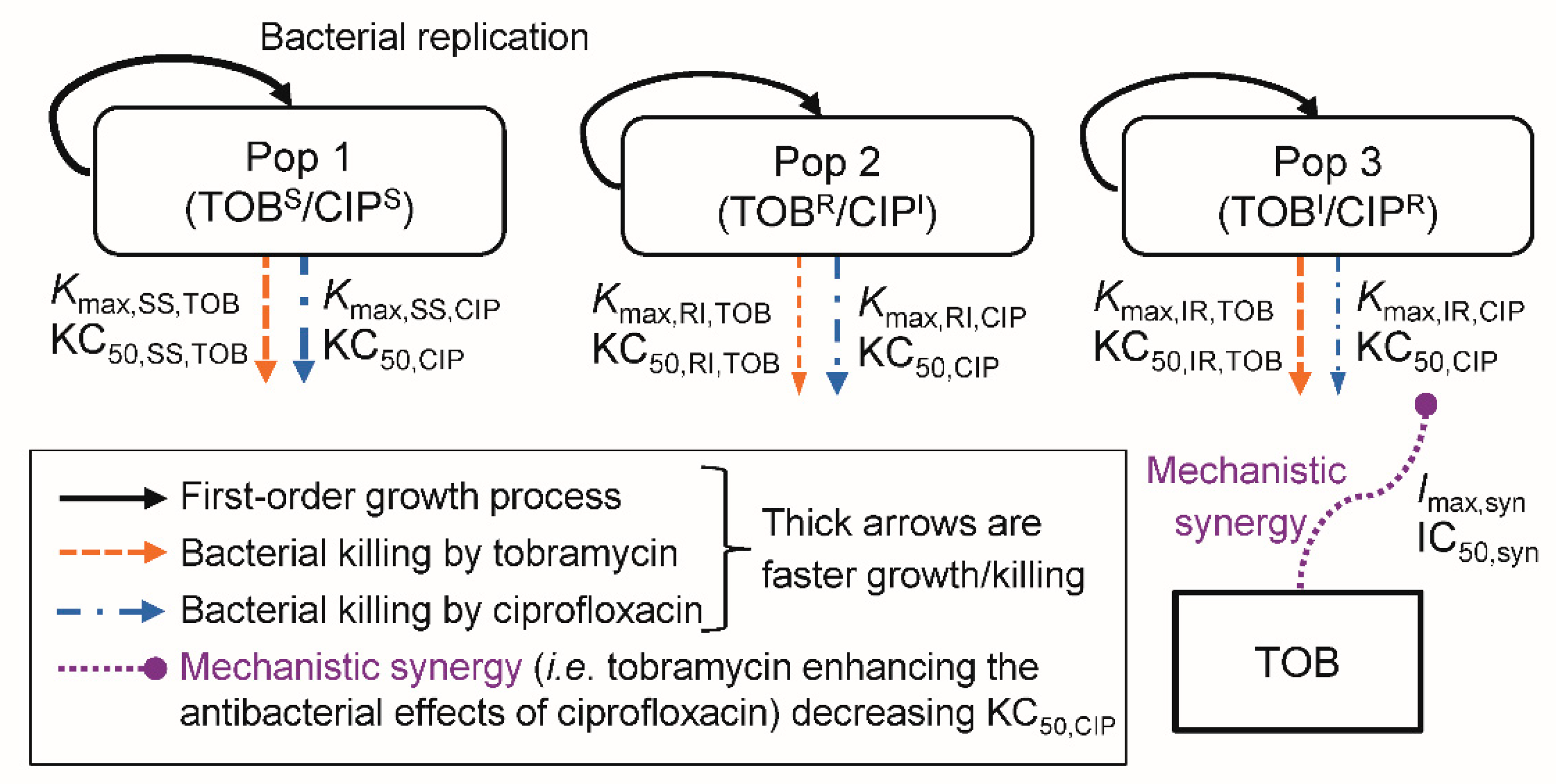 Pharmaceutics 11 00470 g001