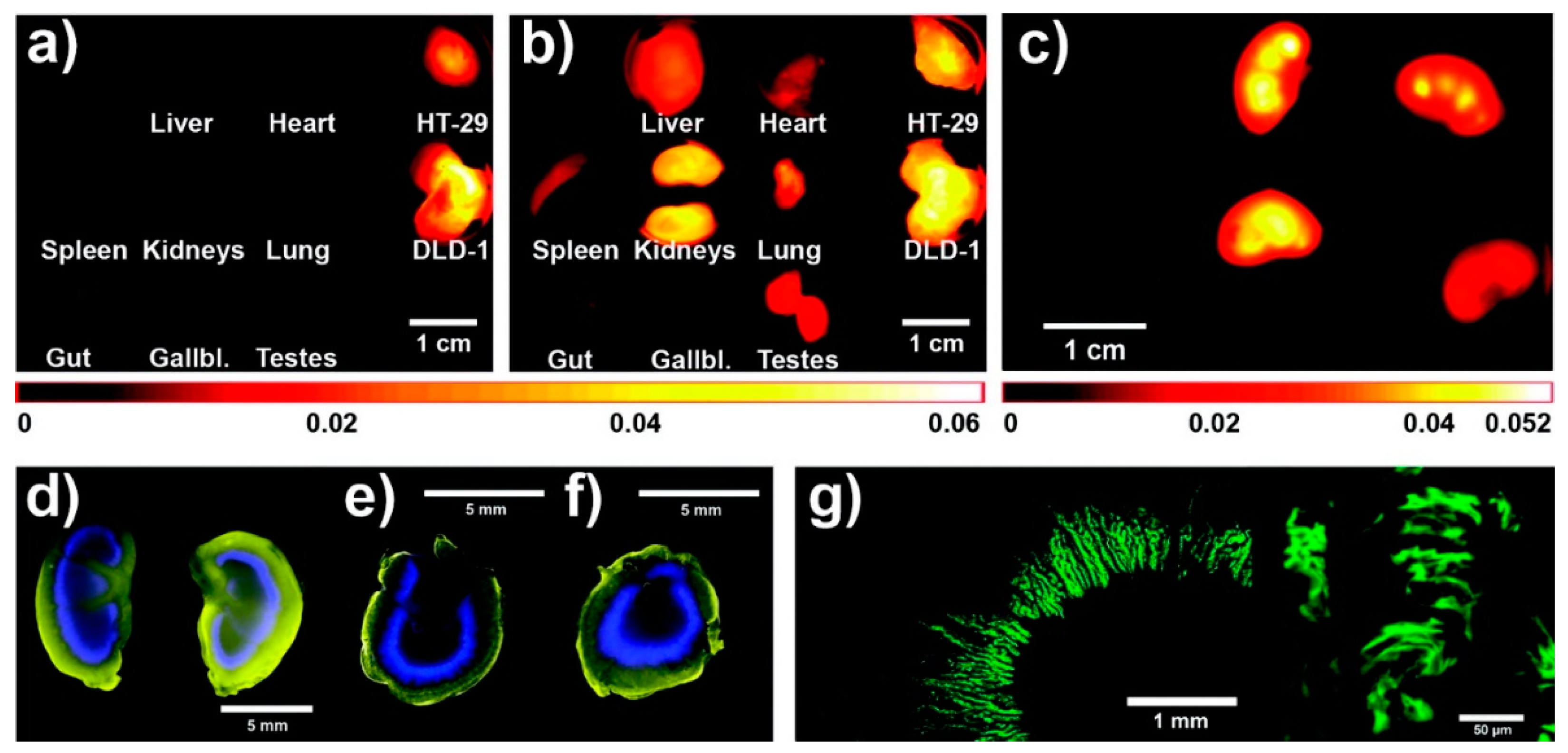 Pharmaceutics 11 00471 g005
