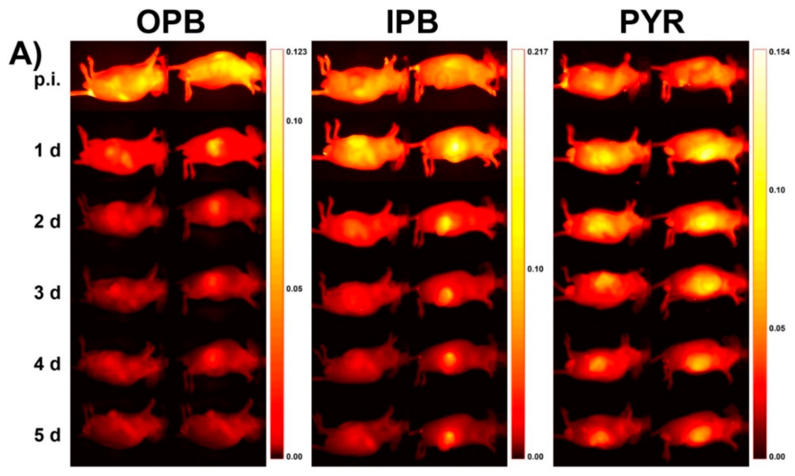 Pharmaceutics 11 00471 g008a