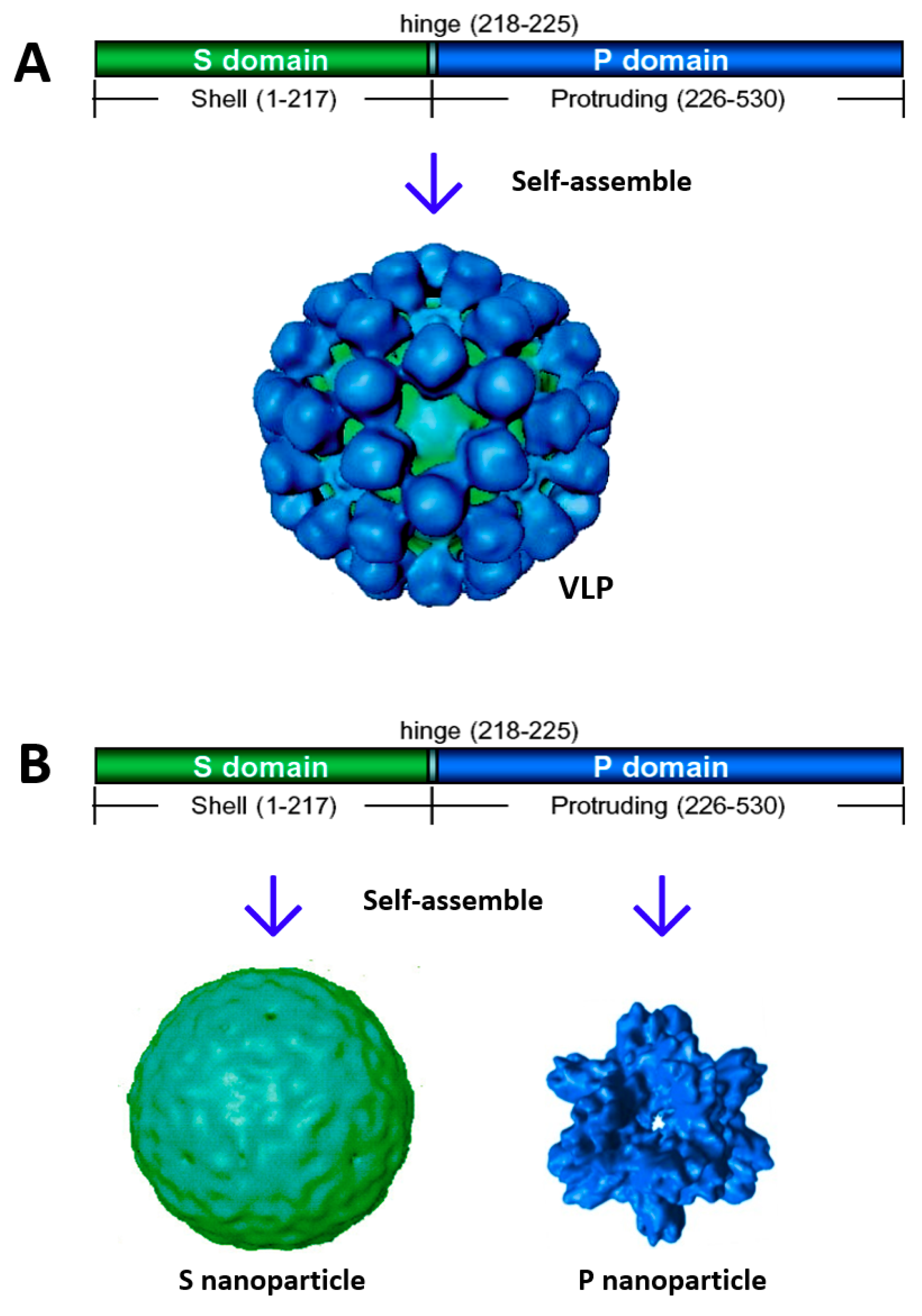Pharmaceutics 11 00472 g001 Pharmaceutics 11 00472 g001