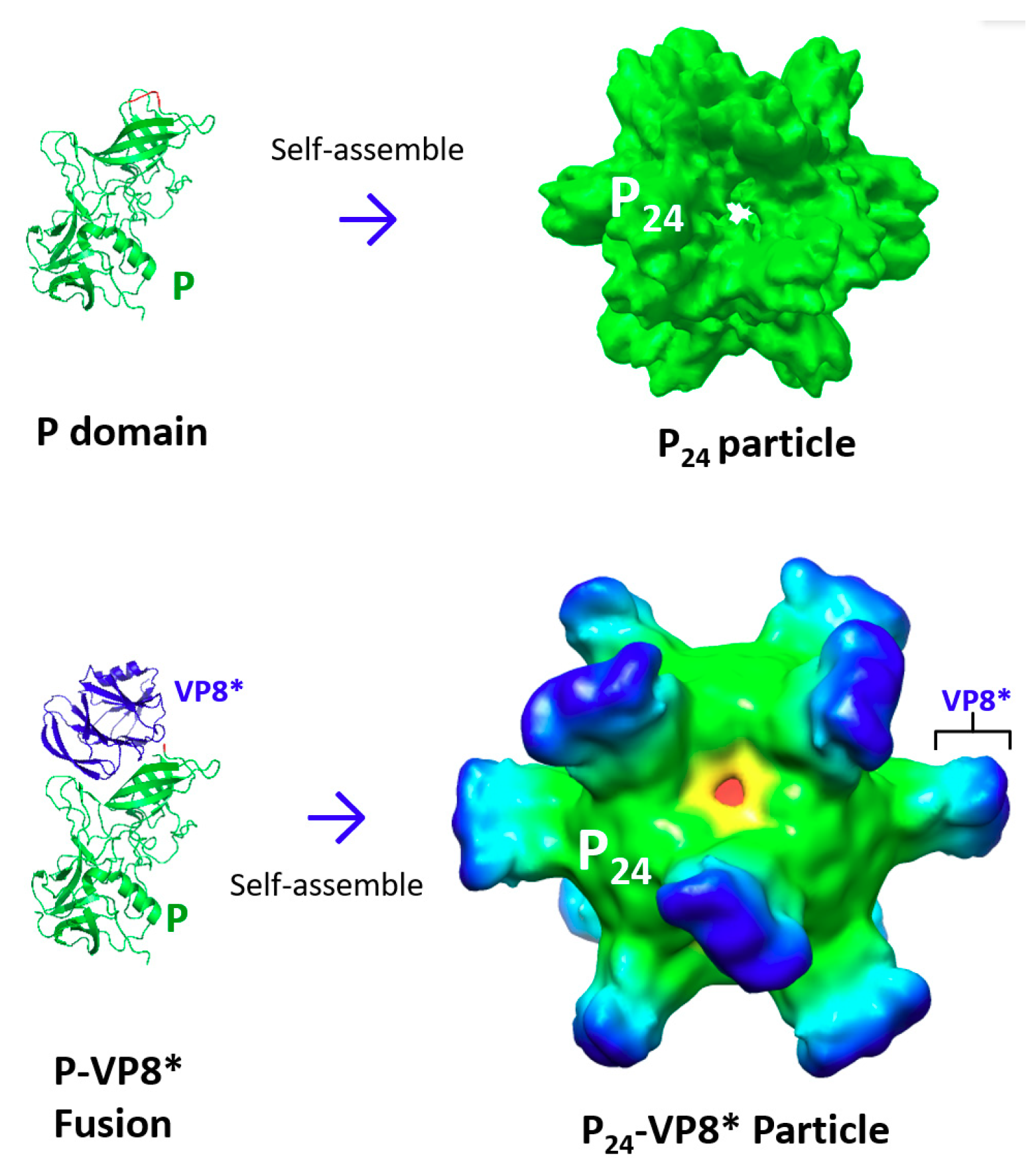 Pharmaceutics 11 00472 g003 Pharmaceutics 11 00472 g003