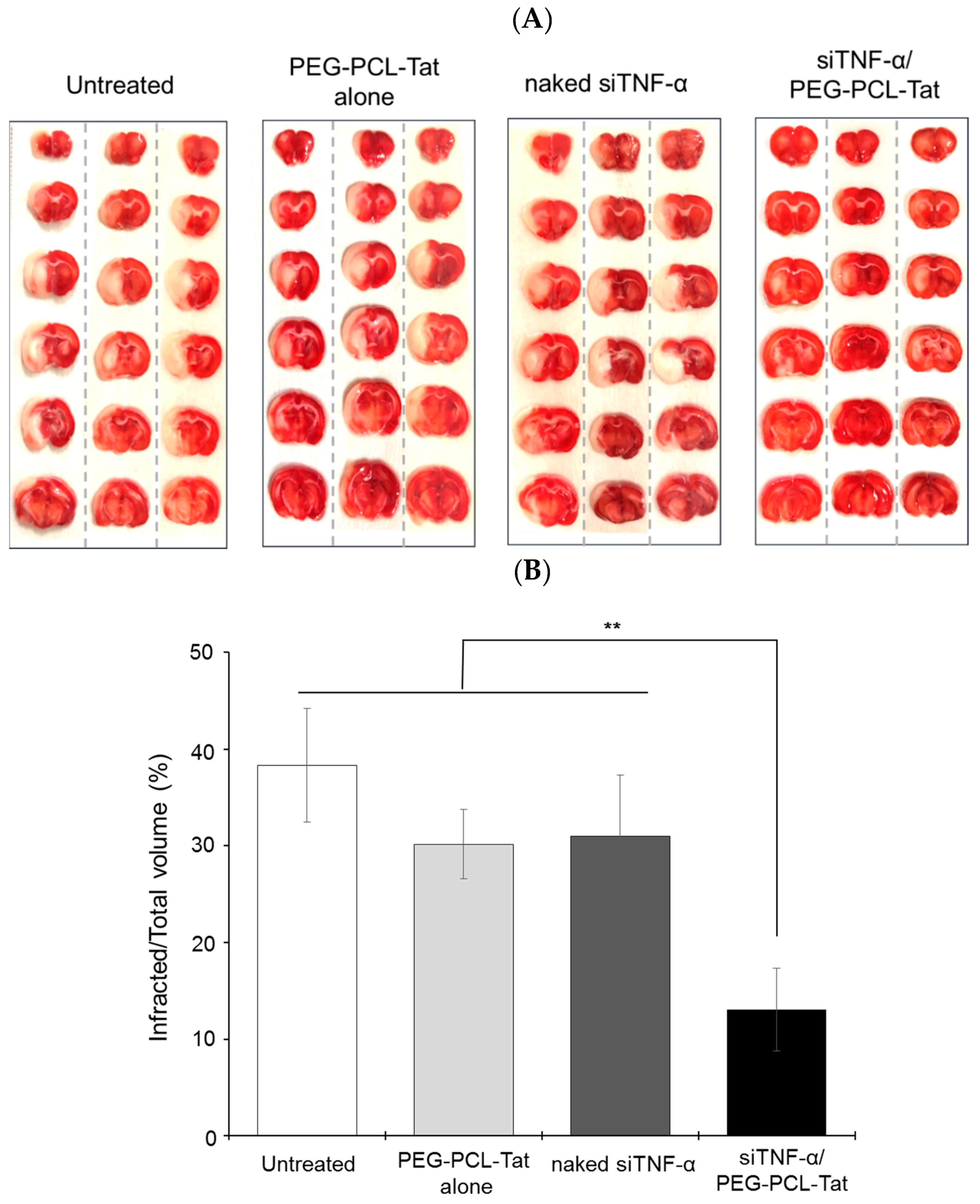 Pharmaceutics 11 00478 g003