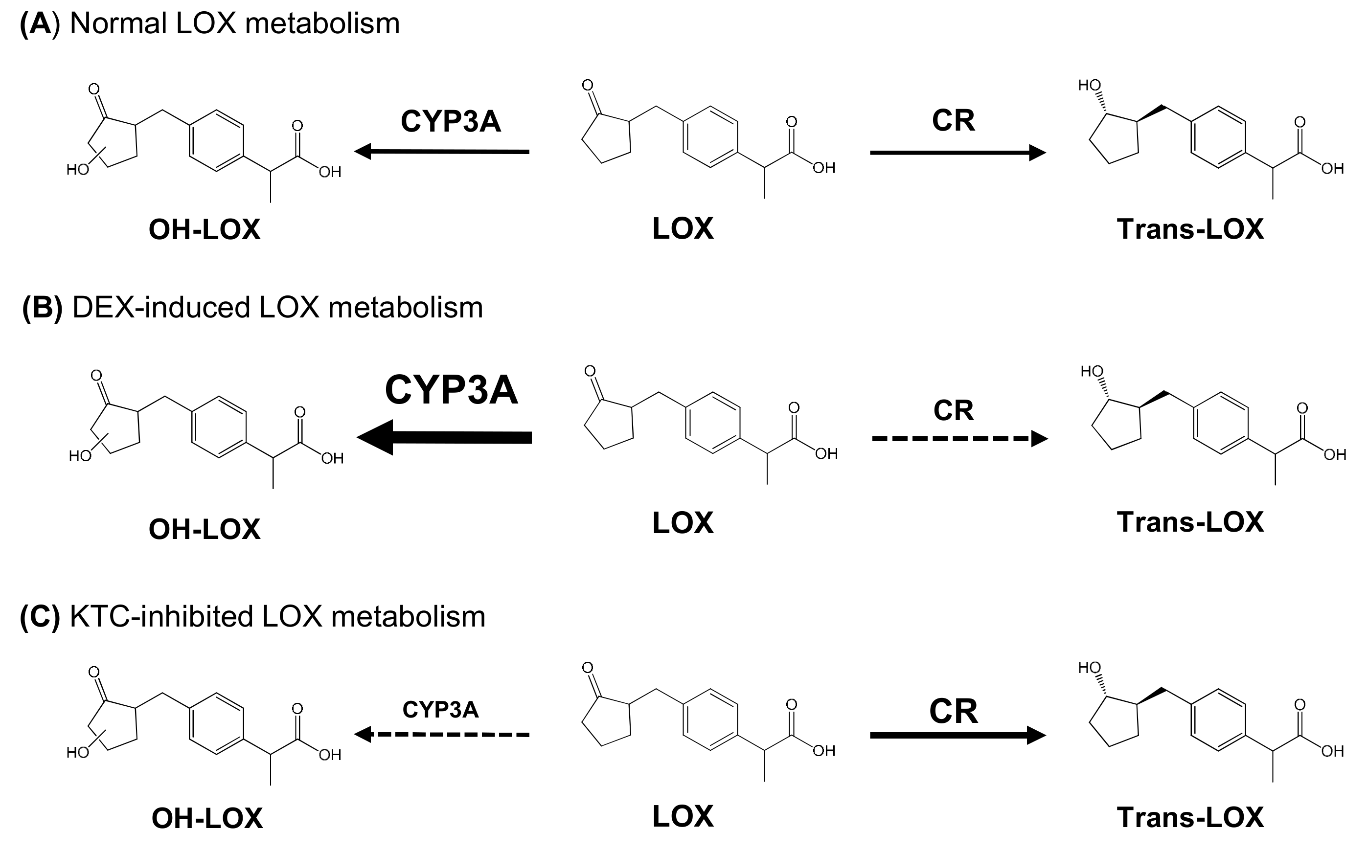 Pharmaceutics 11 00479 g003