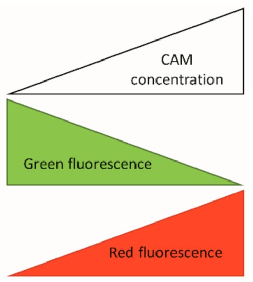 Pharmaceutics 11 00487 g0a2