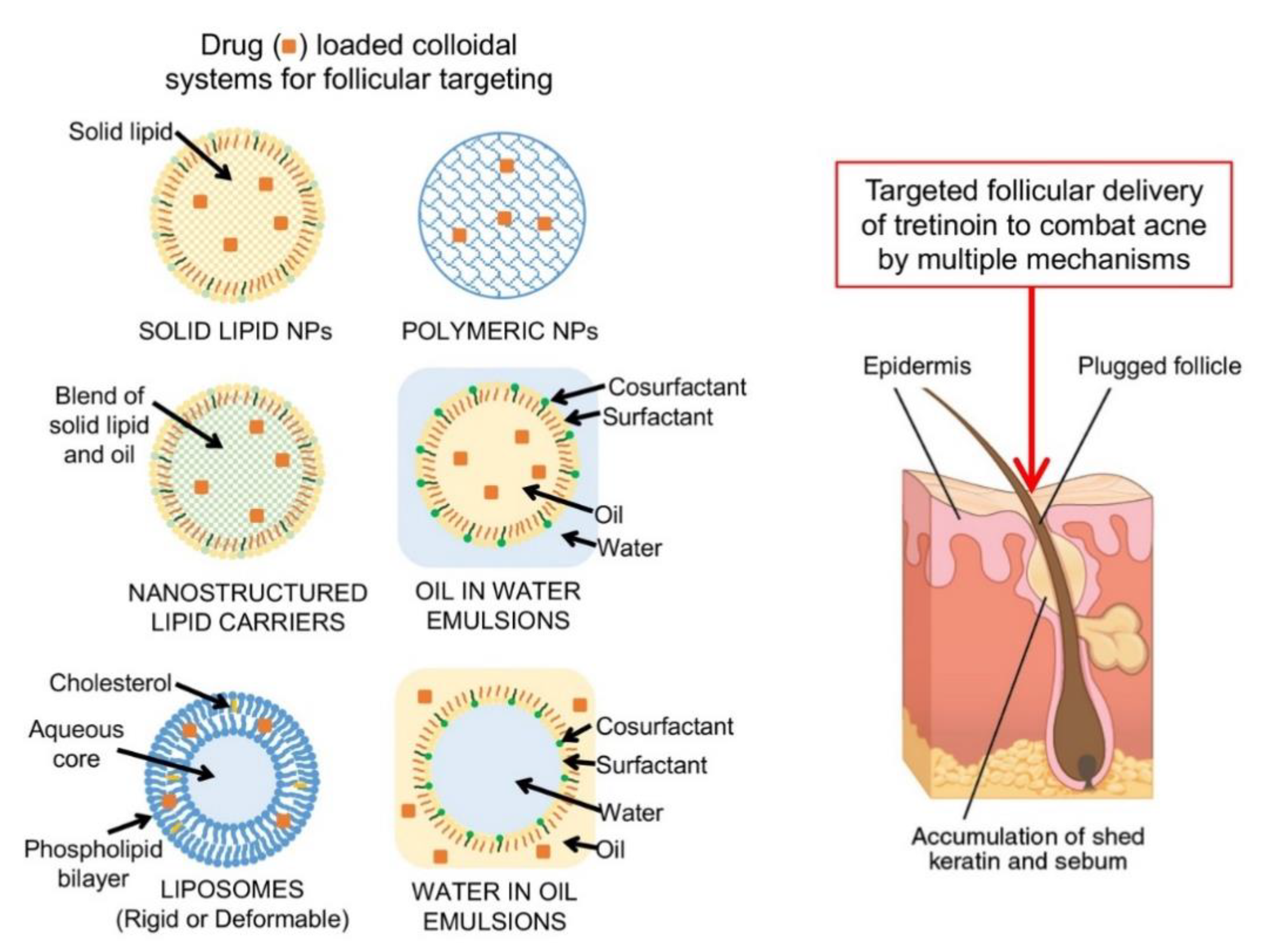 Pharmaceutics 11 00490 g002
