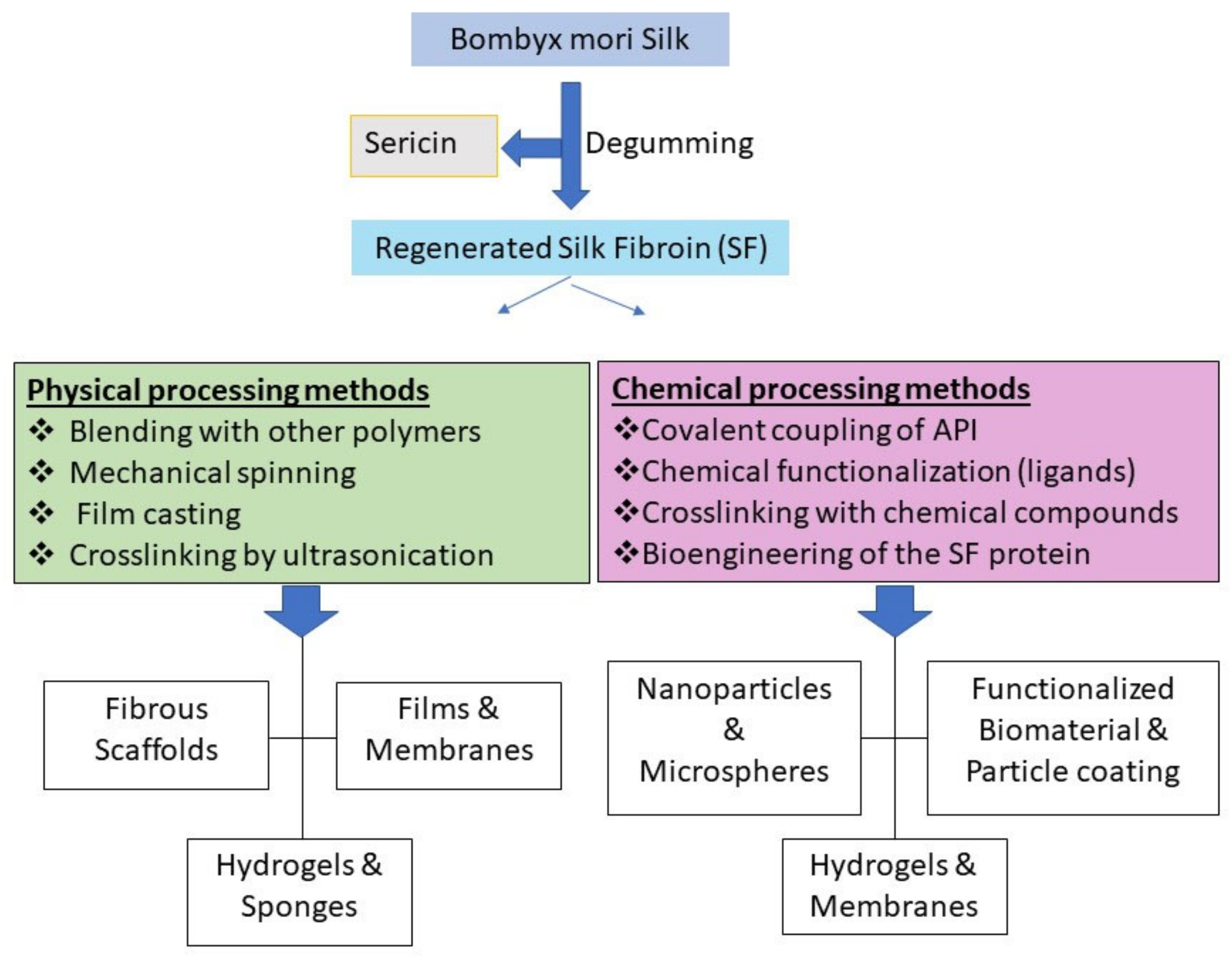 Pharmaceutics 11 00494 g001