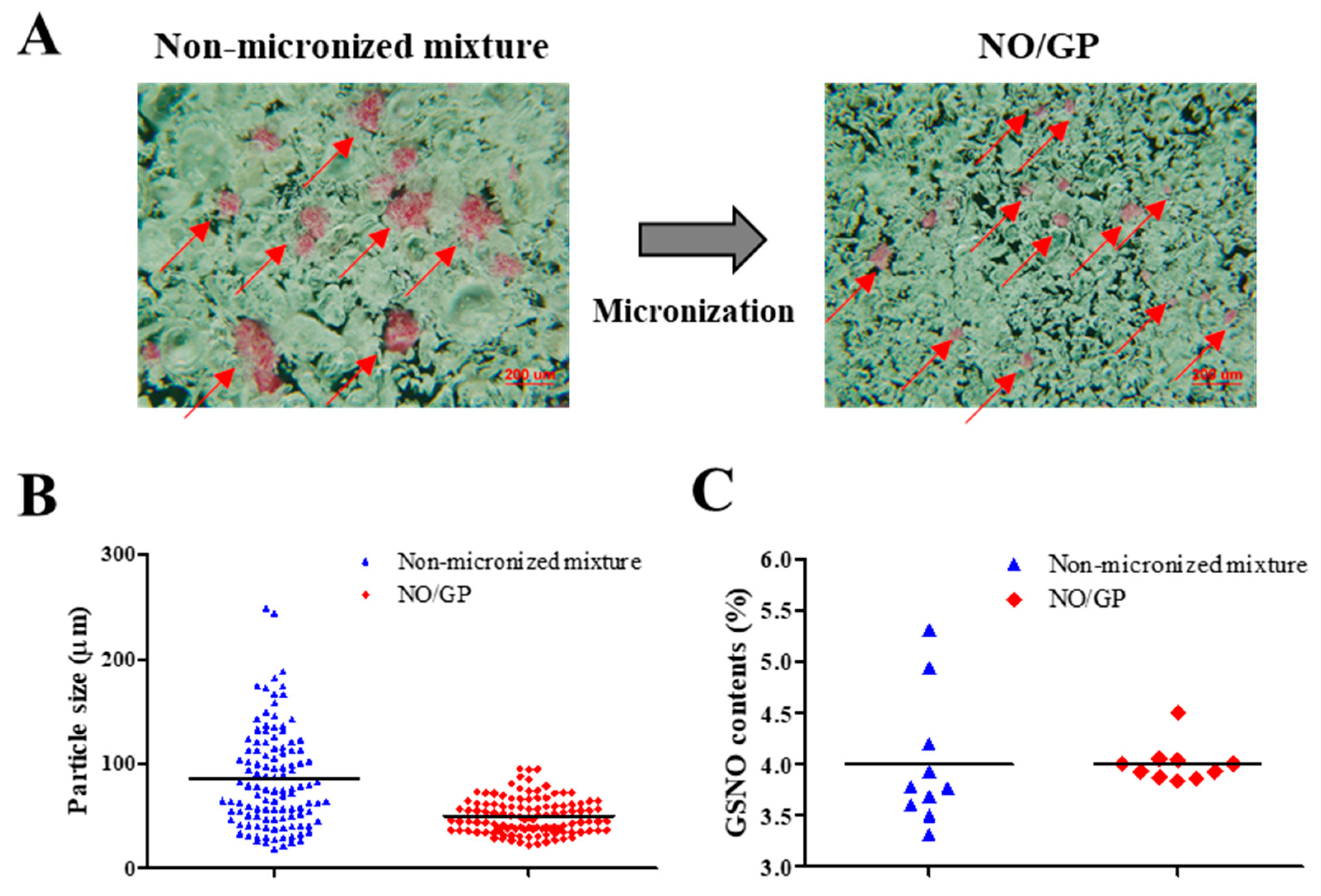Pharmaceutics 11 00496 g001 Pharmaceutics 11 00496 g001