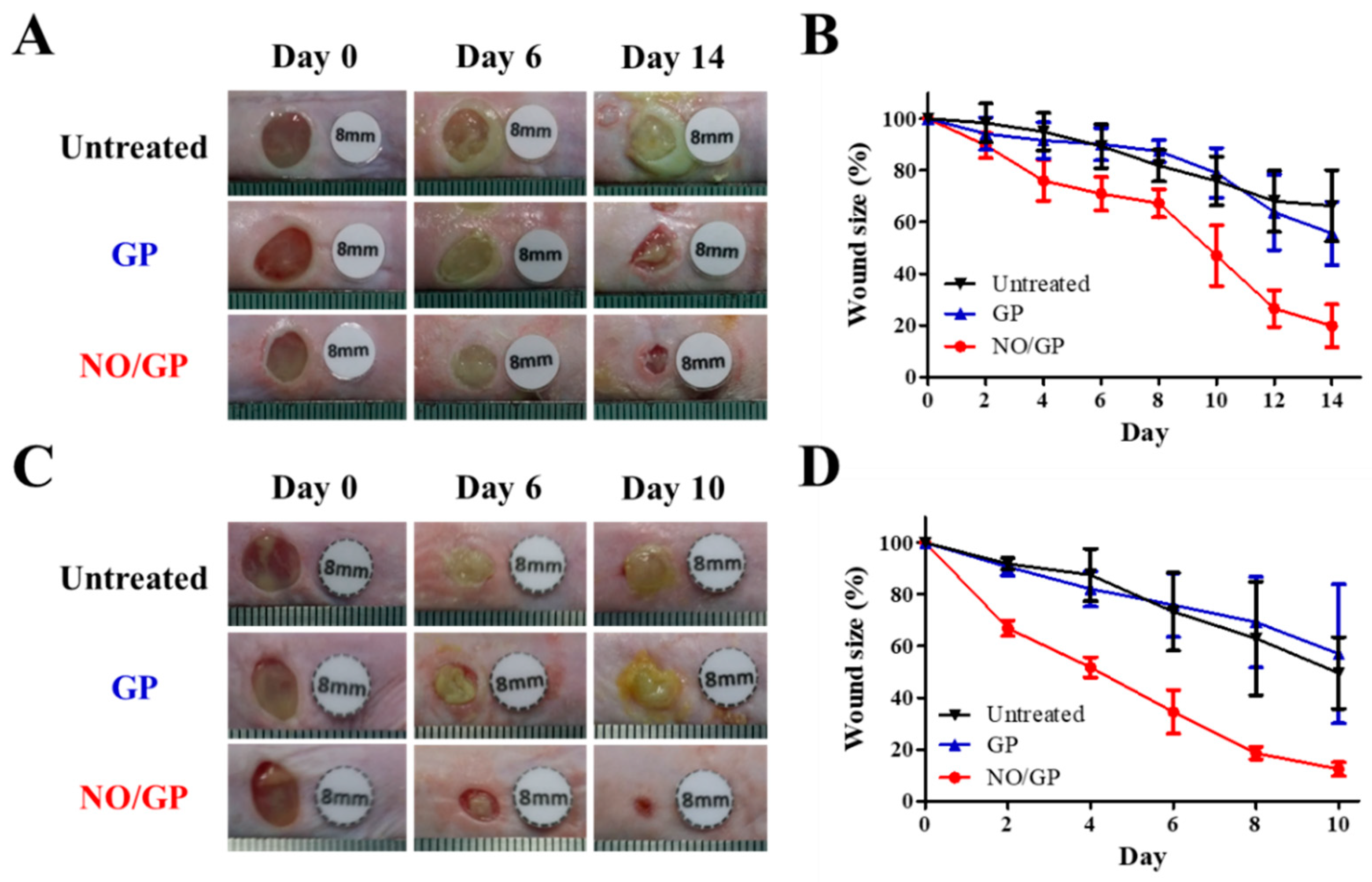 Pharmaceutics 11 00496 g006 Pharmaceutics 11 00496 g006