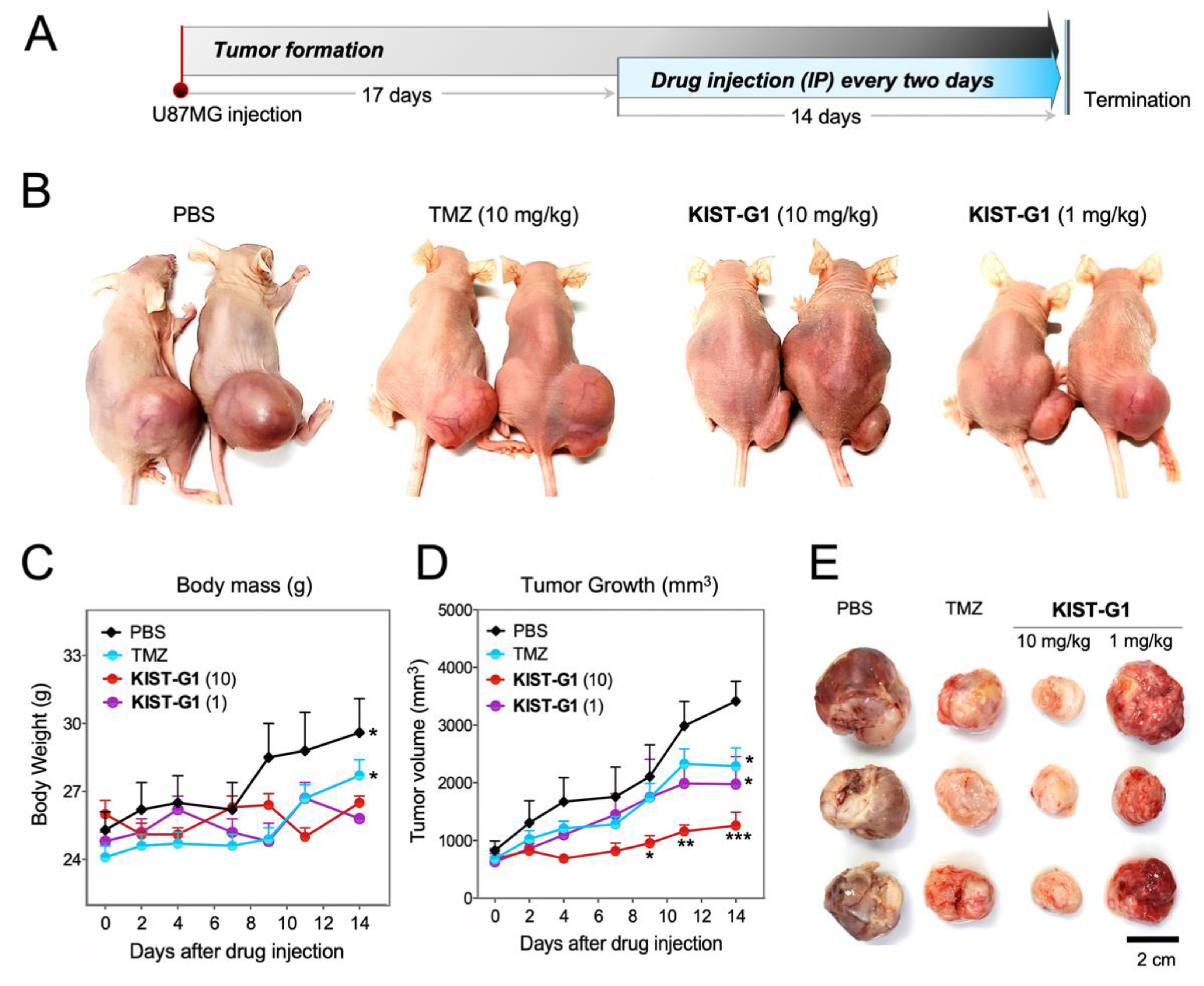 Pharmaceutics 11 00497 g003