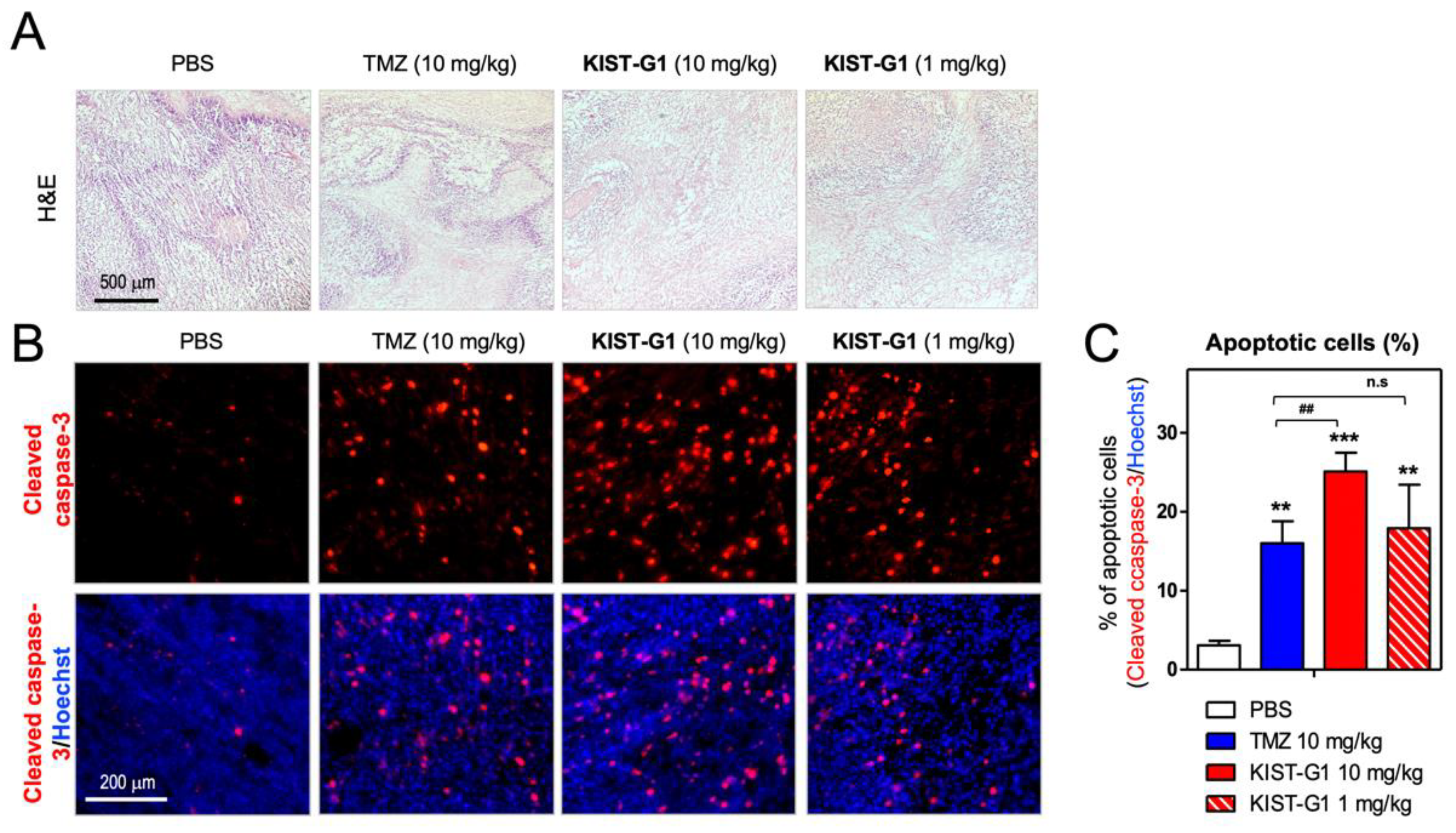 Pharmaceutics 11 00497 g004