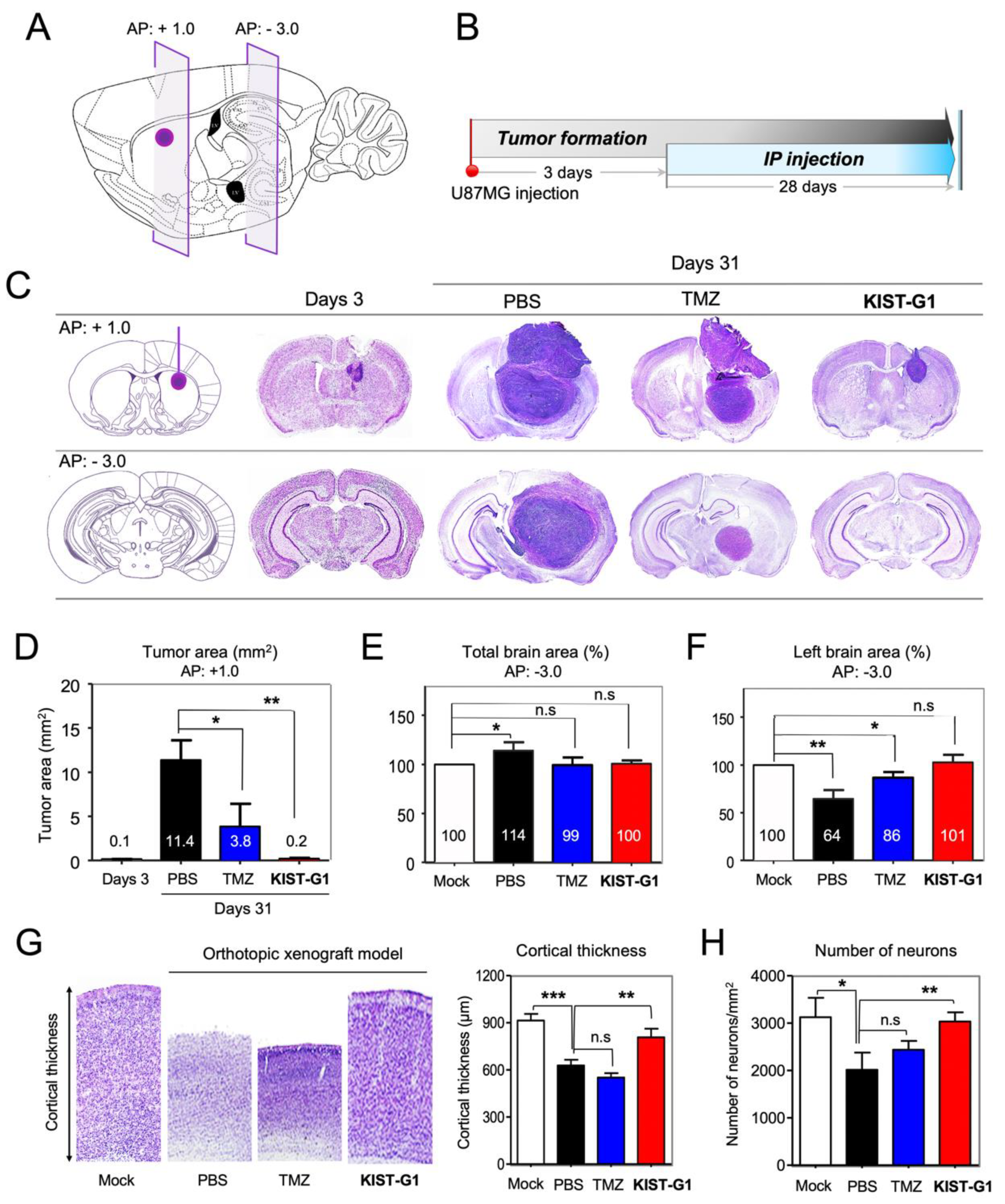 Pharmaceutics 11 00497 g005