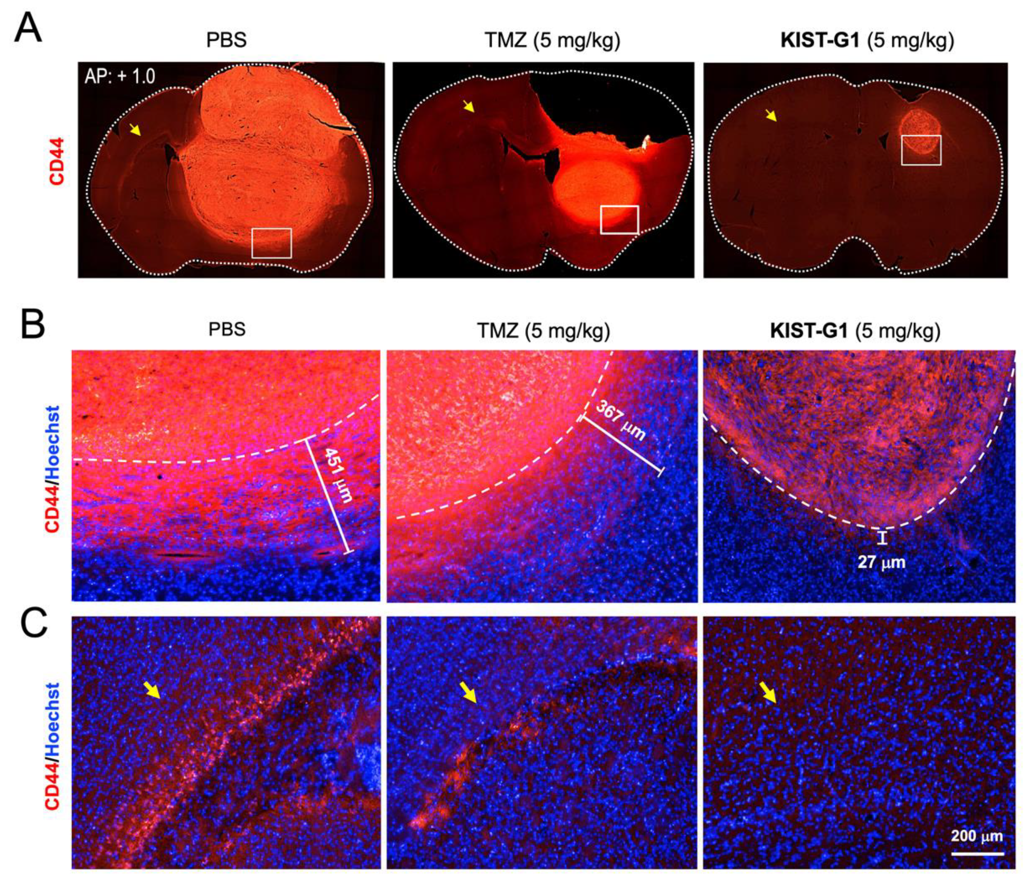 Pharmaceutics 11 00497 g006