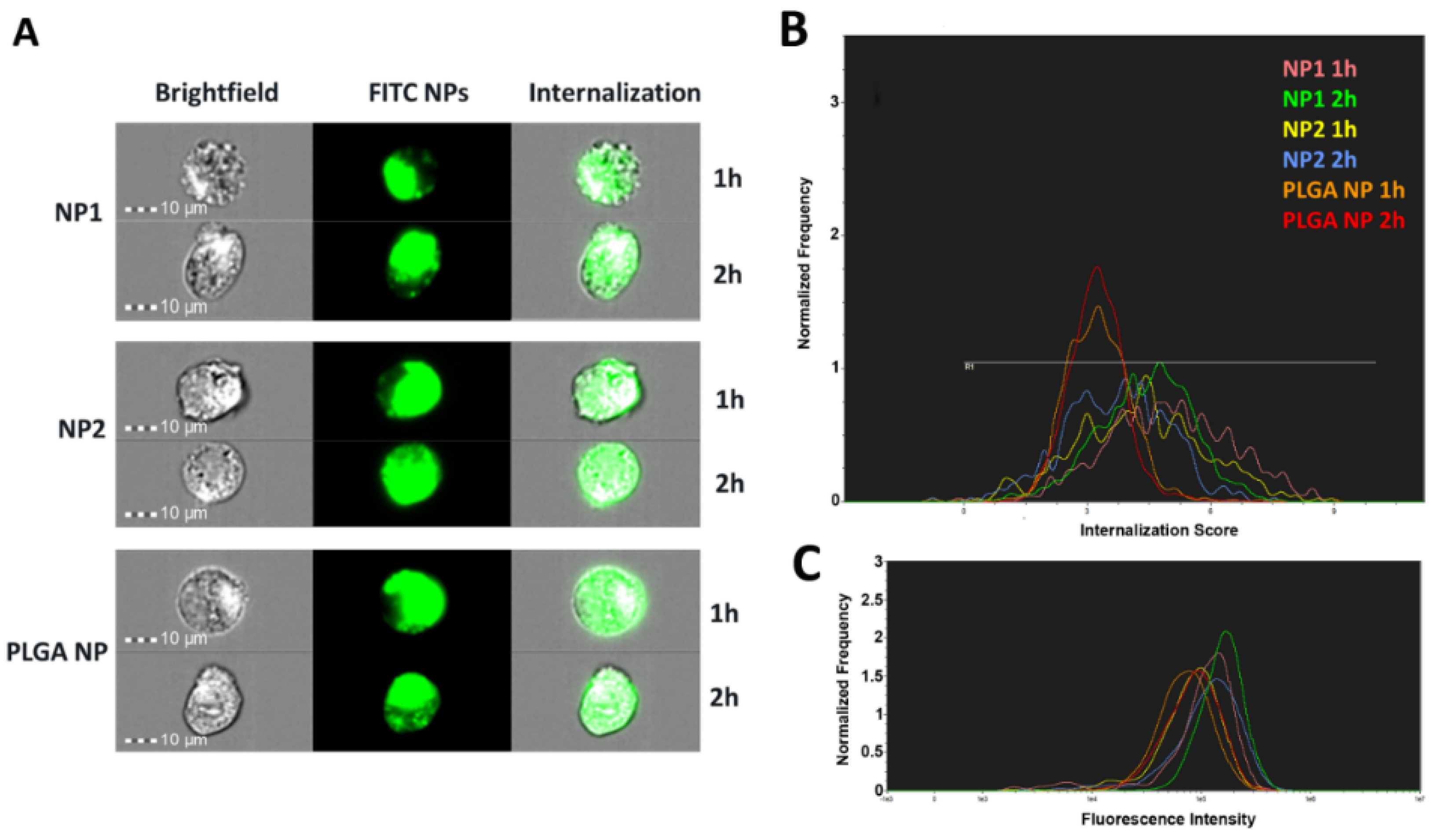 Pharmaceutics 11 00500 g007 Pharmaceutics 11 00500 g007