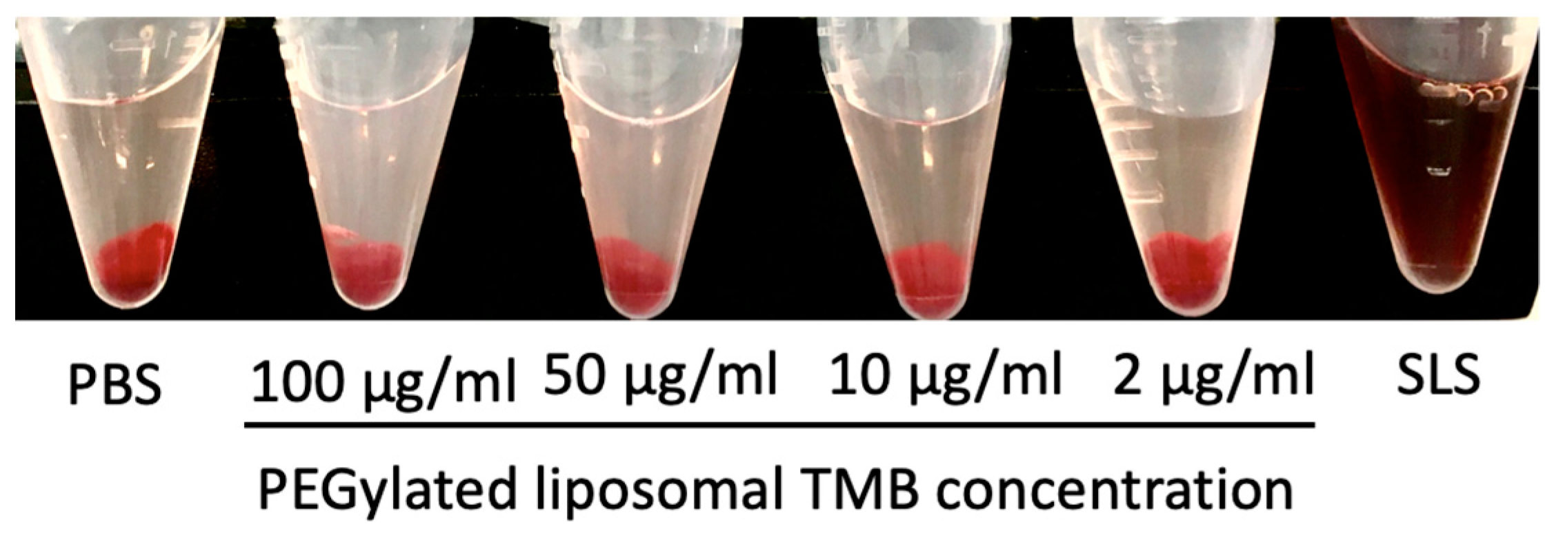 Pharmaceutics 11 00504 g005