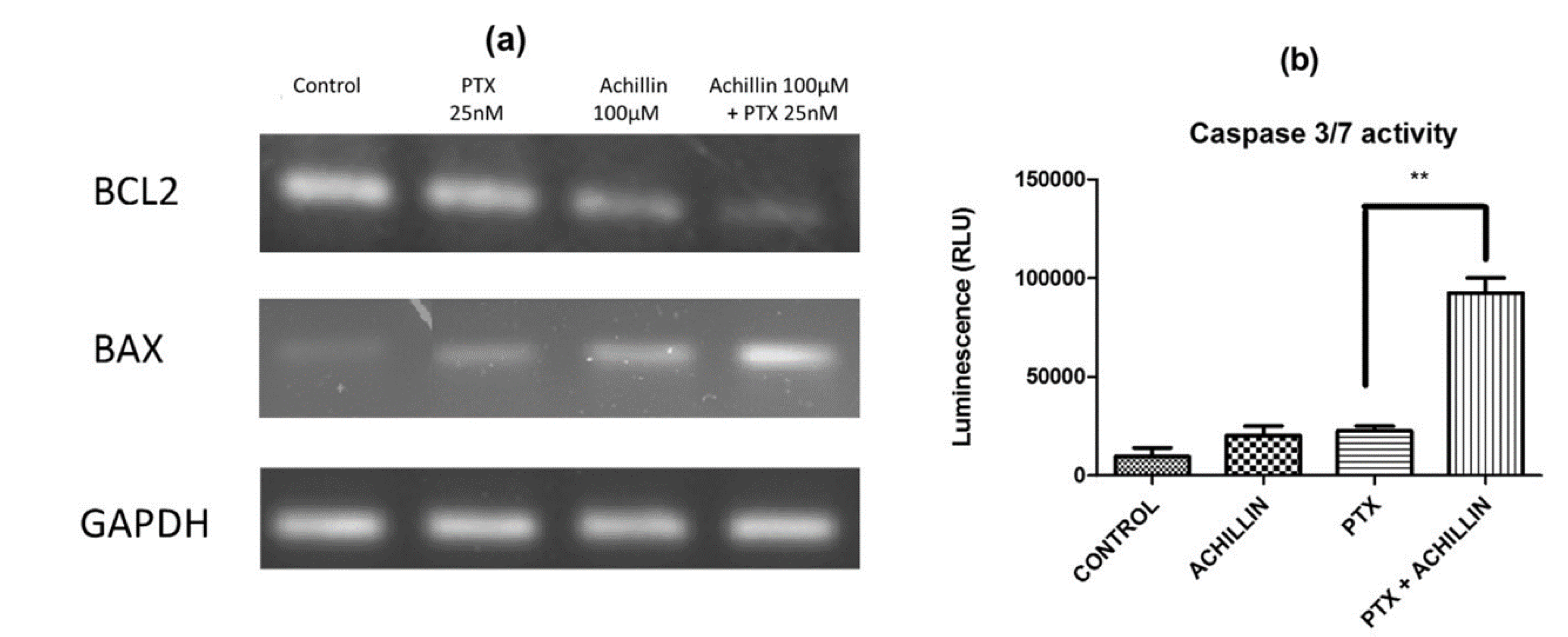 Pharmaceutics 11 00512 g008 Pharmaceutics 11 00512 g008