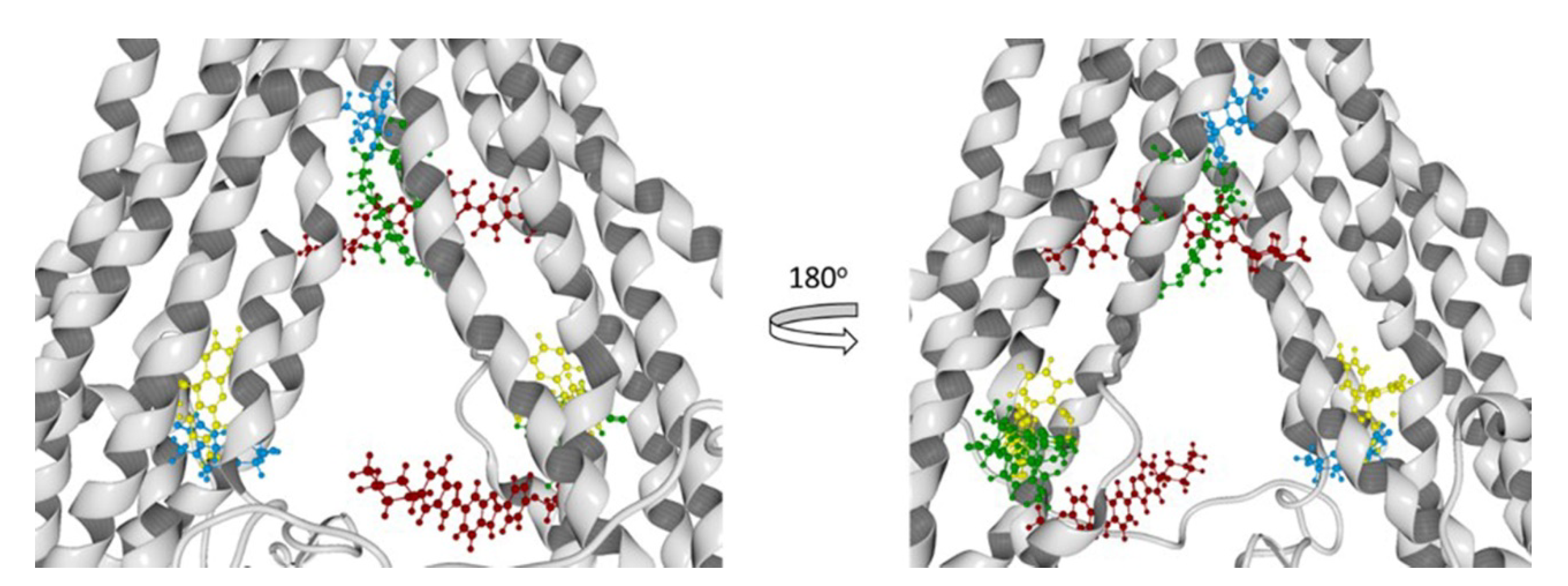 Pharmaceutics 11 00512 g014 Pharmaceutics 11 00512 g014