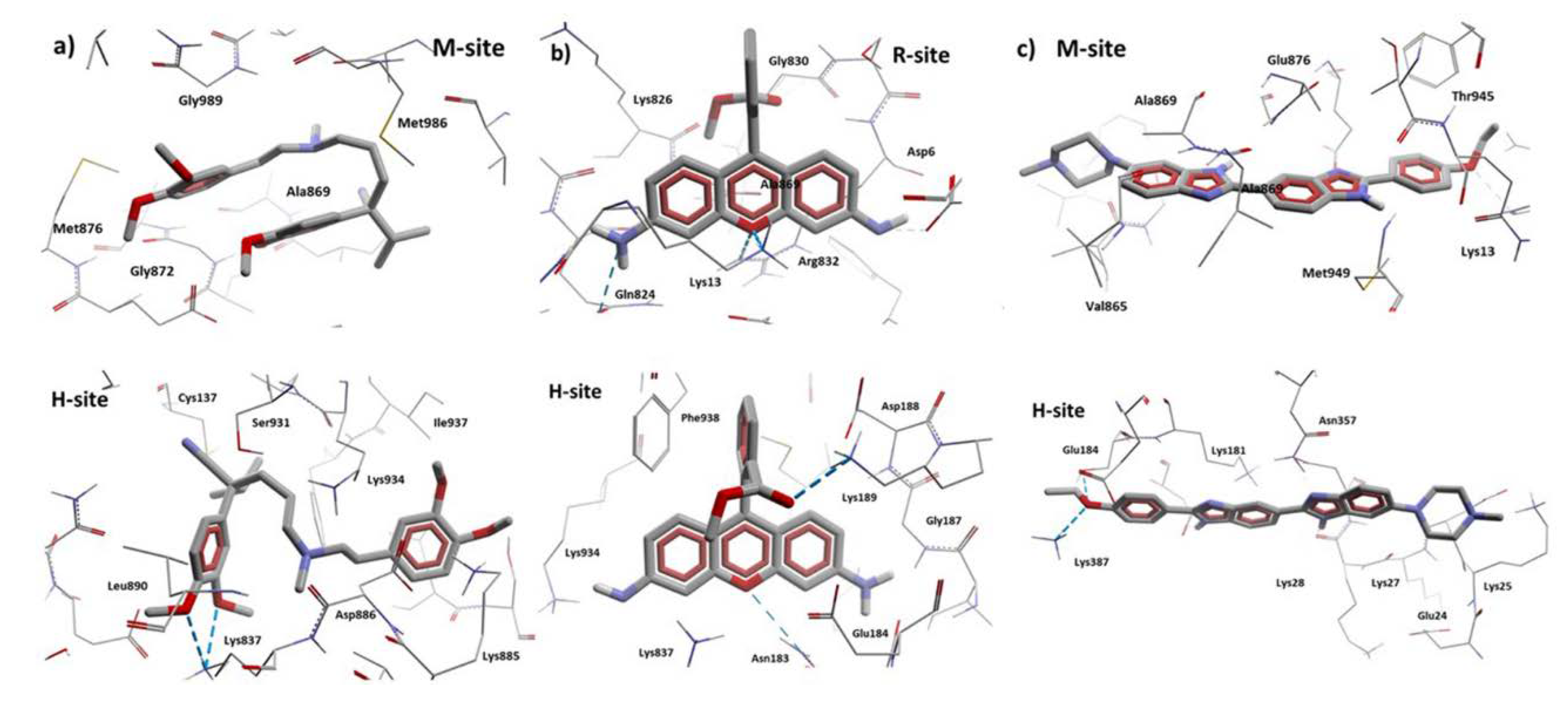 Pharmaceutics 11 00512 g015 Pharmaceutics 11 00512 g015