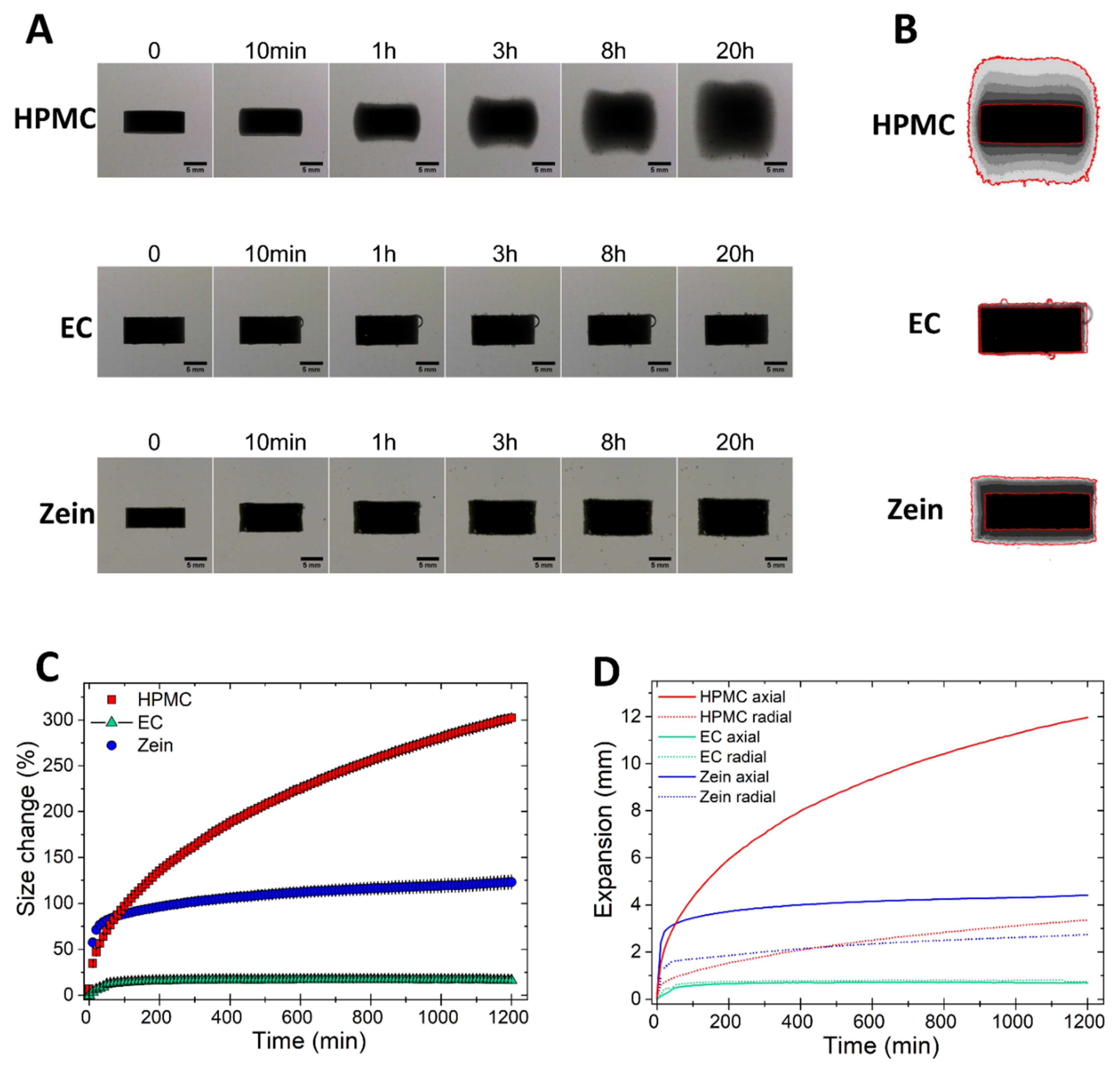 Pharmaceutics 11 00513 g001