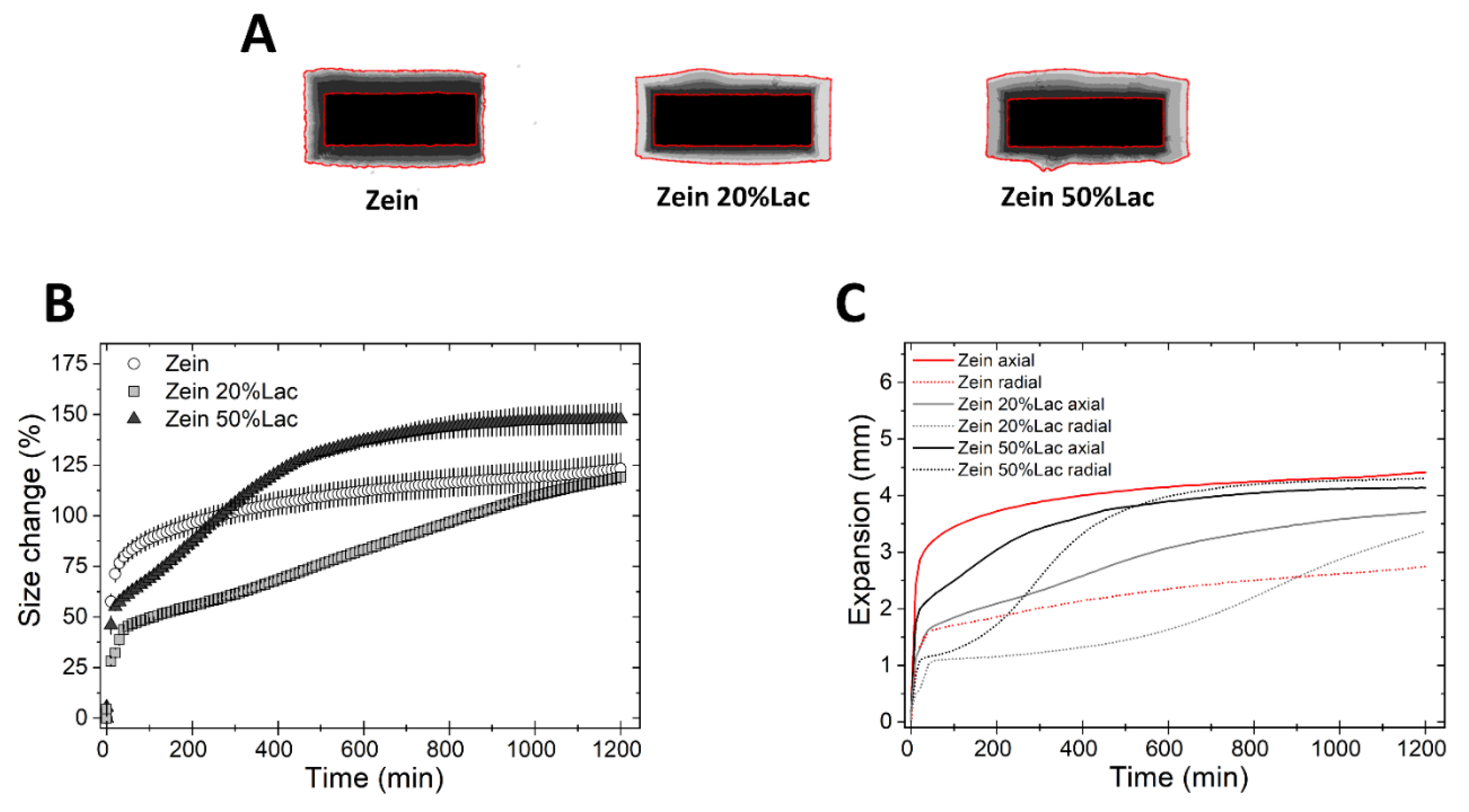 Pharmaceutics 11 00513 g003