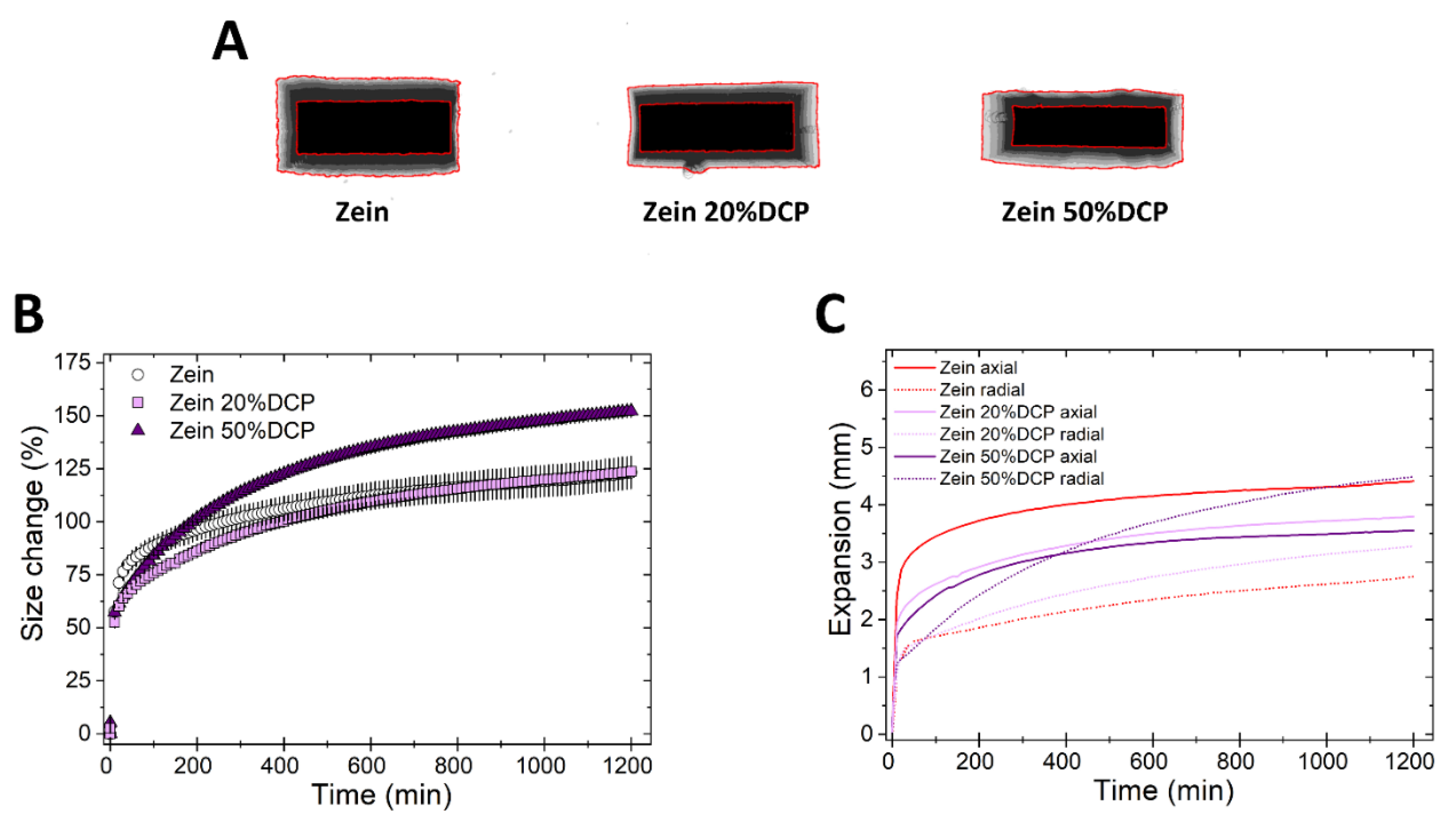 Pharmaceutics 11 00513 g004