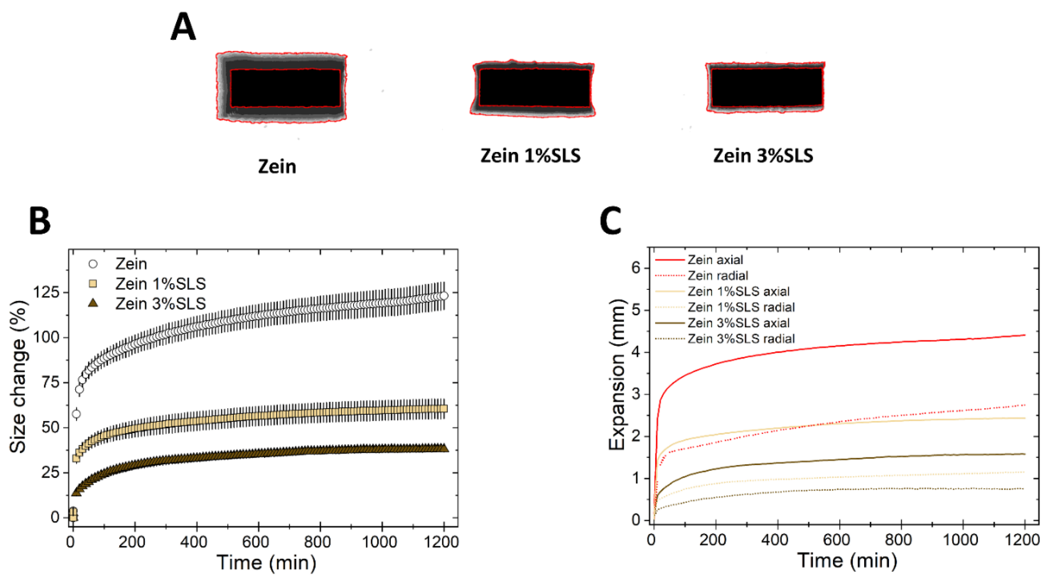 Pharmaceutics 11 00513 g008