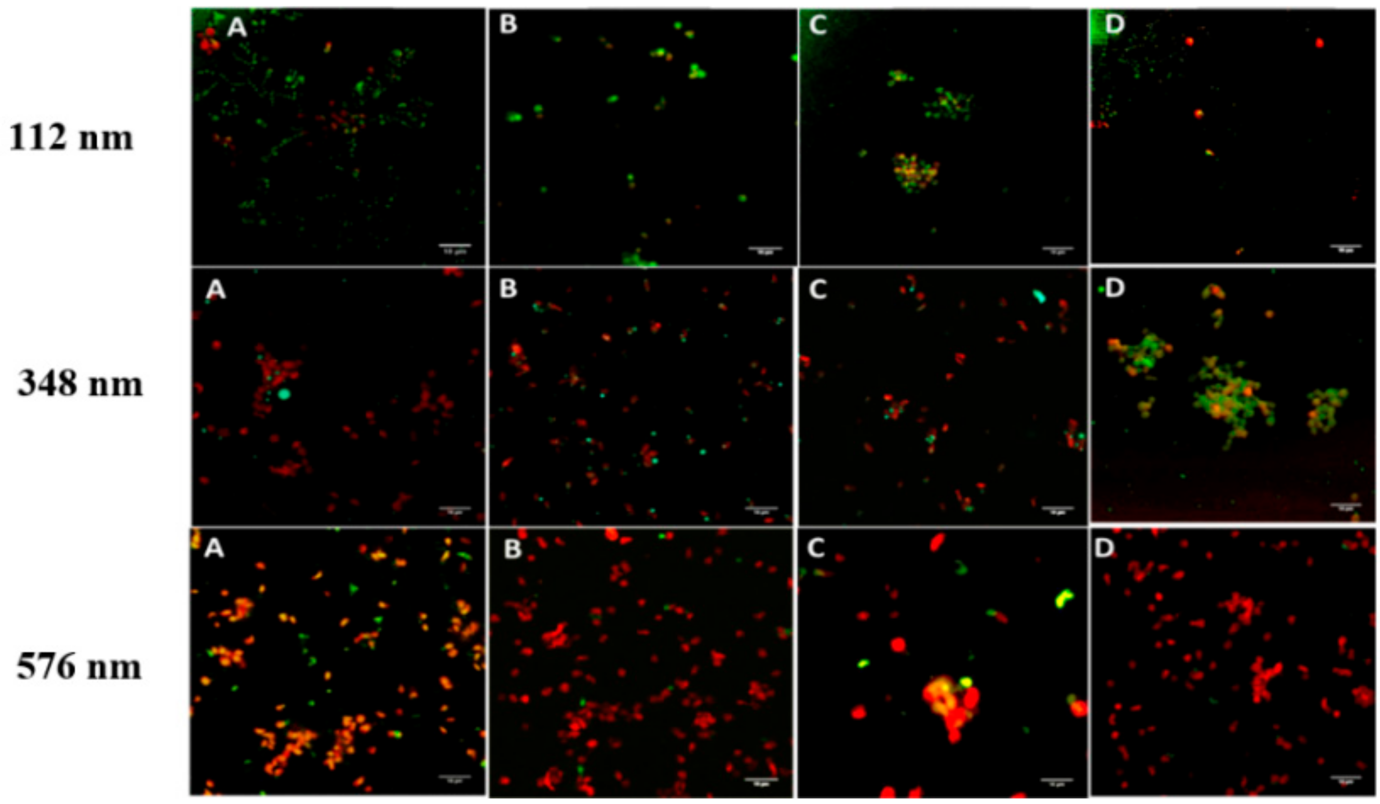 Pharmaceutics 11 00514 g005 Pharmaceutics 11 00514 g005