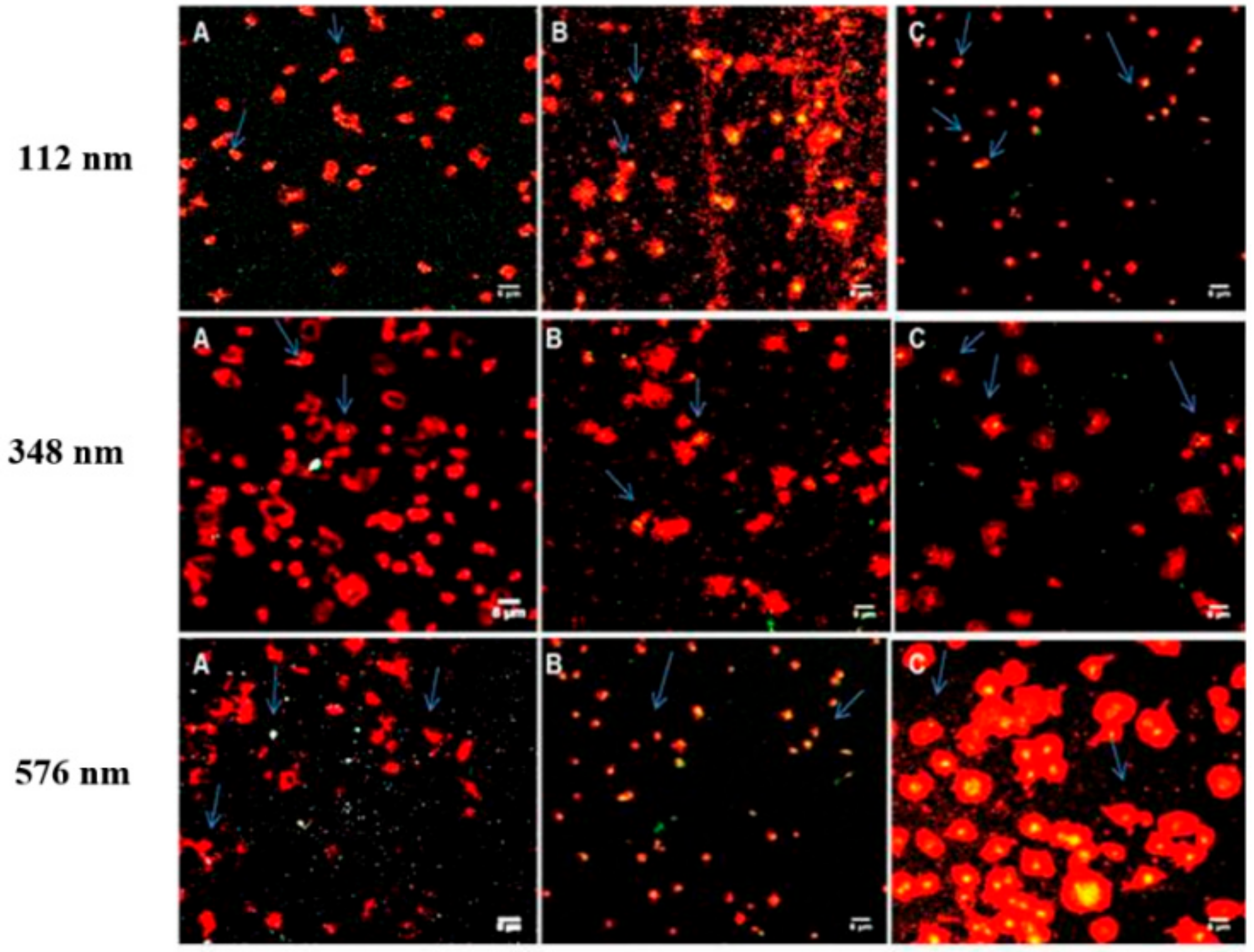 Pharmaceutics 11 00514 g006 Pharmaceutics 11 00514 g006