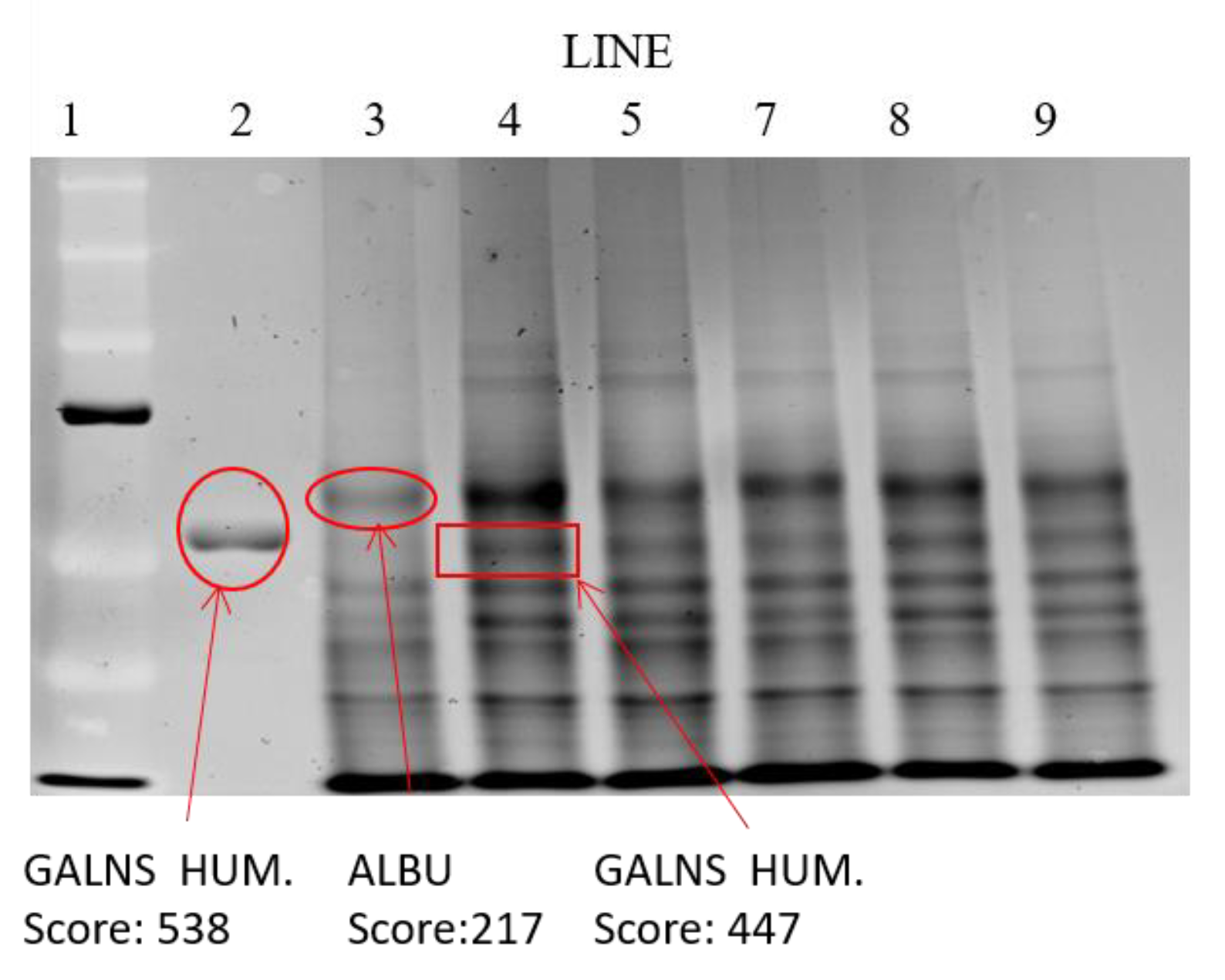 Pharmaceutics 11 00522 g009 Pharmaceutics 11 00522 g009