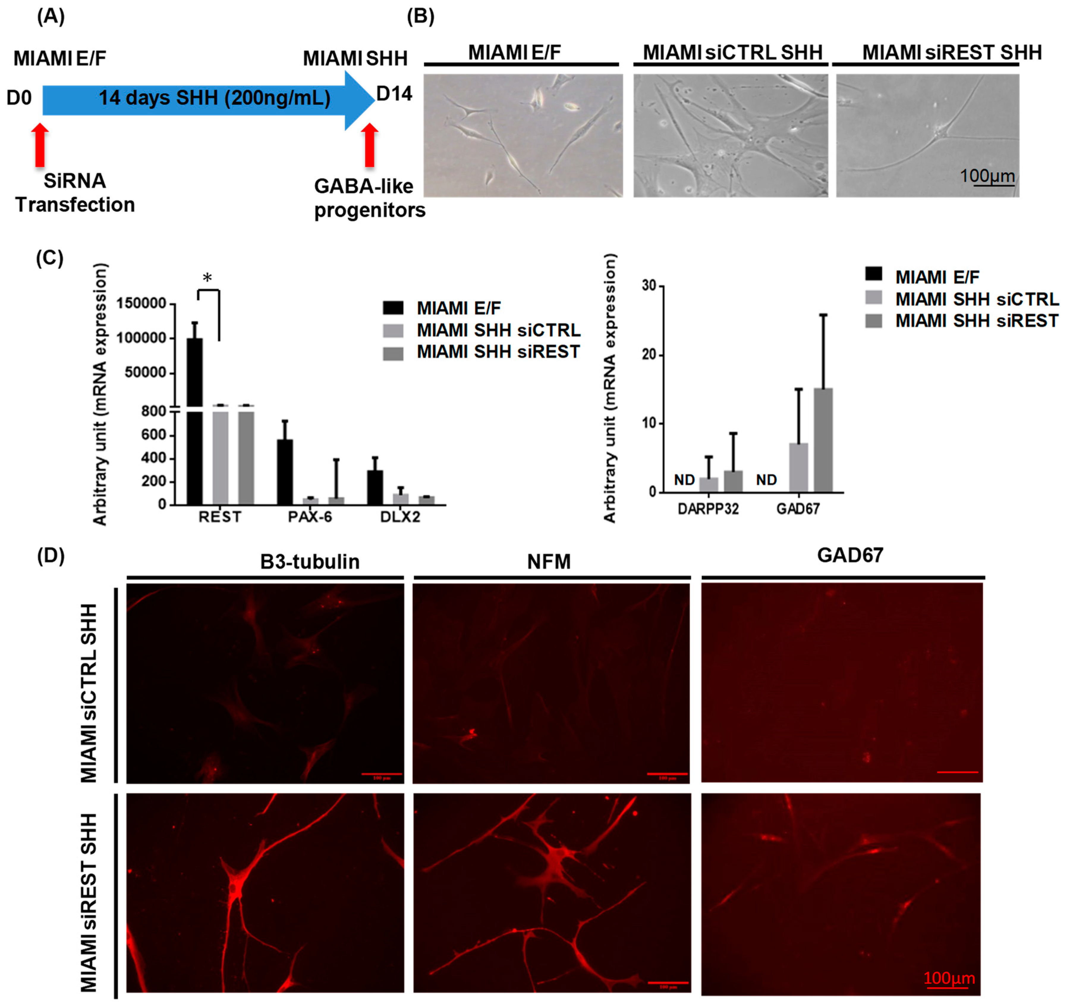Pharmaceutics 11 00526 g003