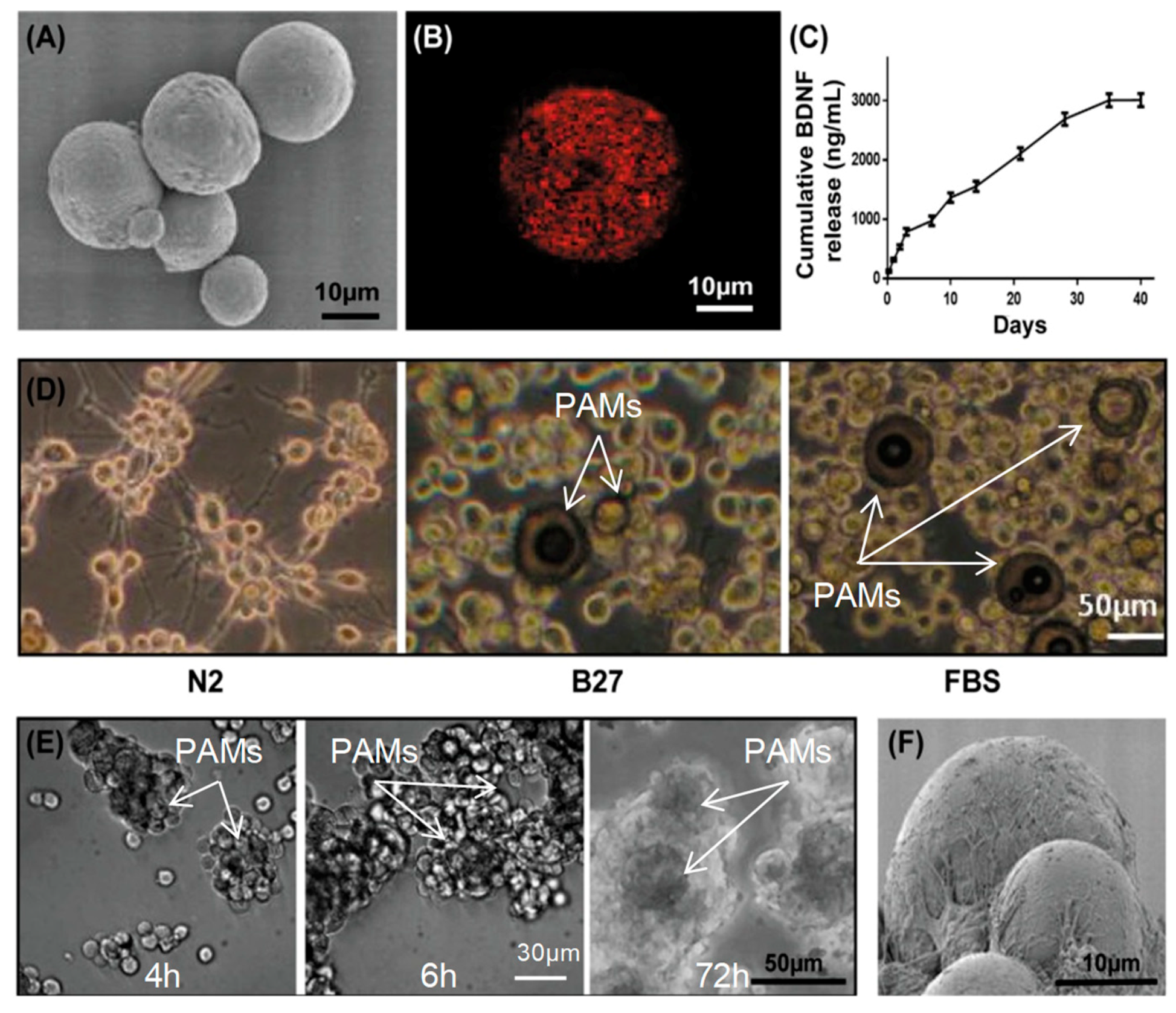 Pharmaceutics 11 00526 g005