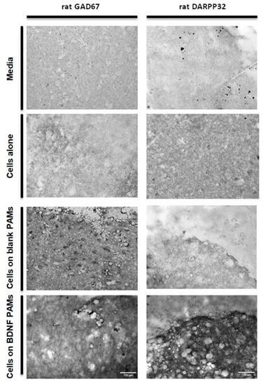 Pharmaceutics 11 00526 g0a1