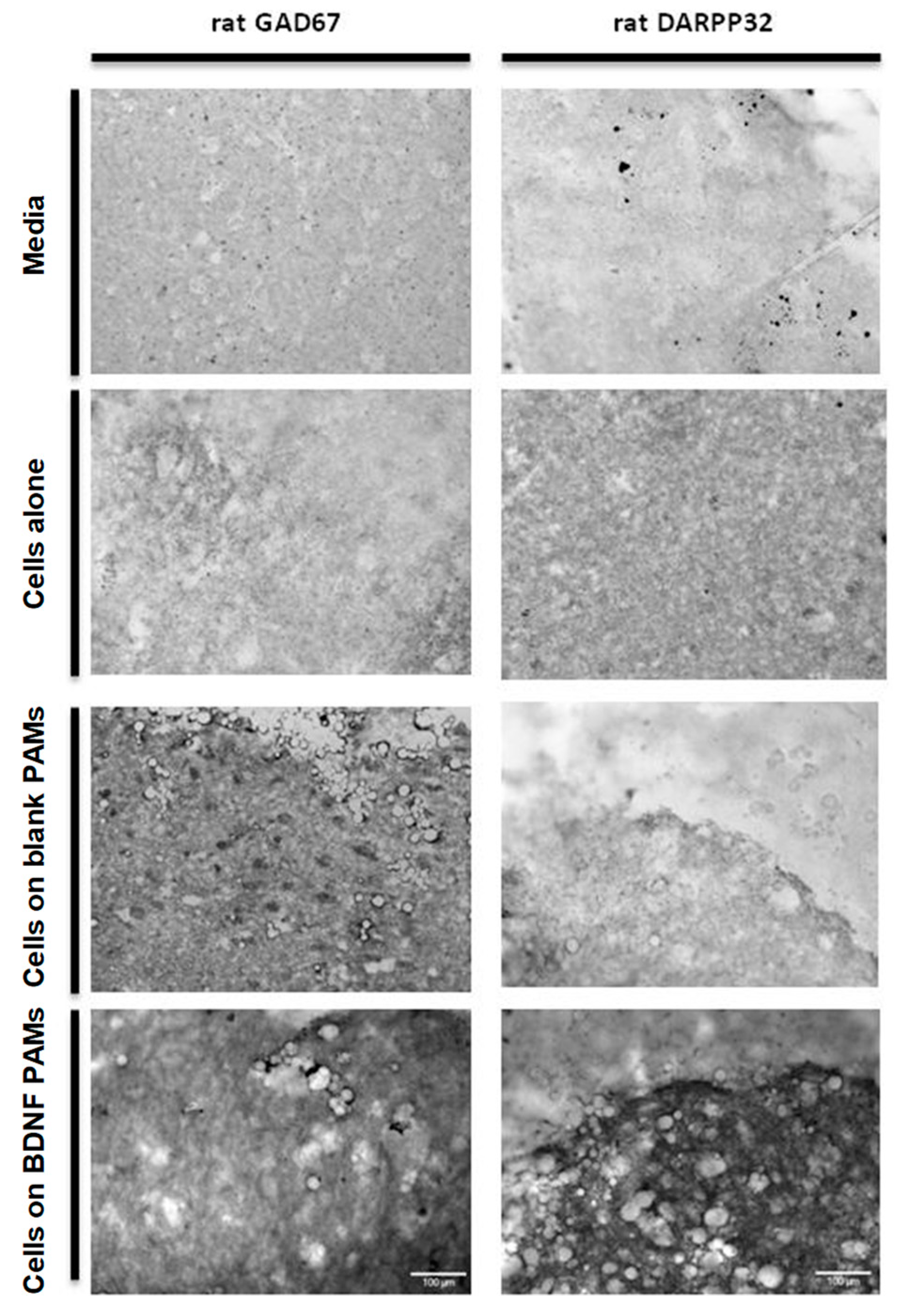 Pharmaceutics 11 00526 g0a1