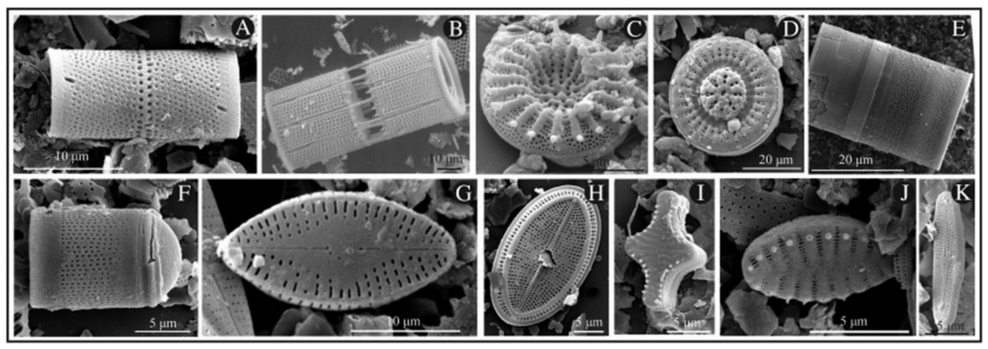 Pharmaceutics 11 00537 g001