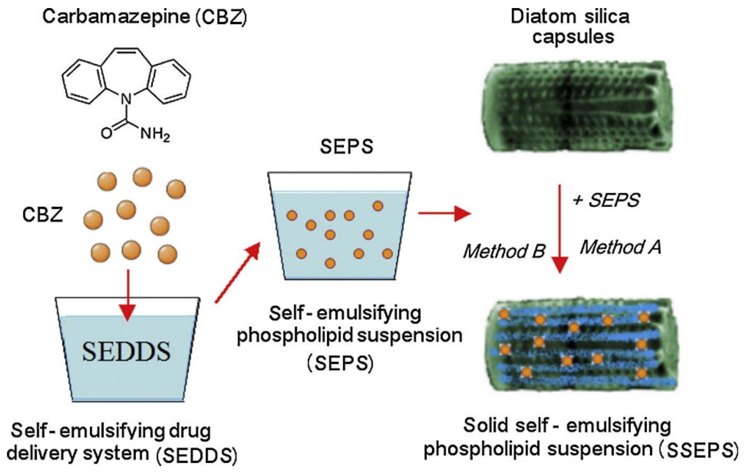 Pharmaceutics 11 00537 g003