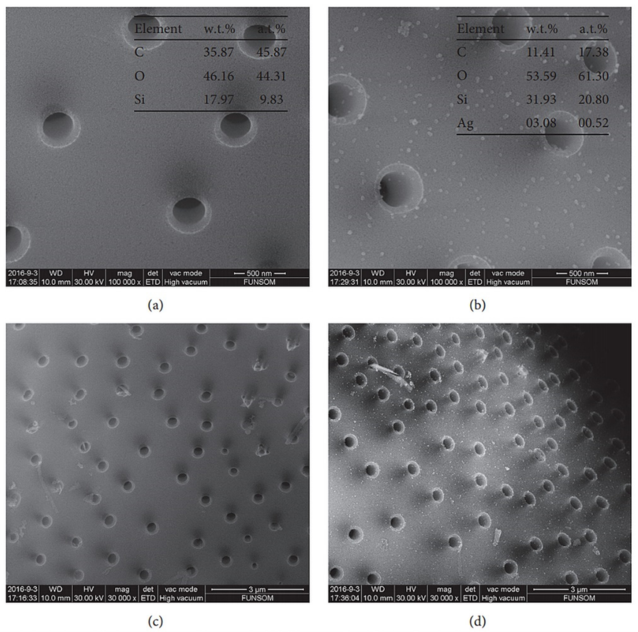 Pharmaceutics 11 00537 g004