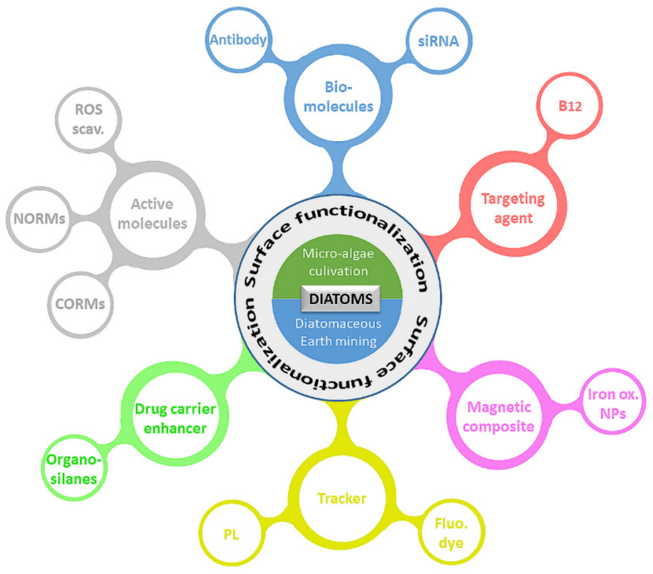 Pharmaceutics 11 00537 g005