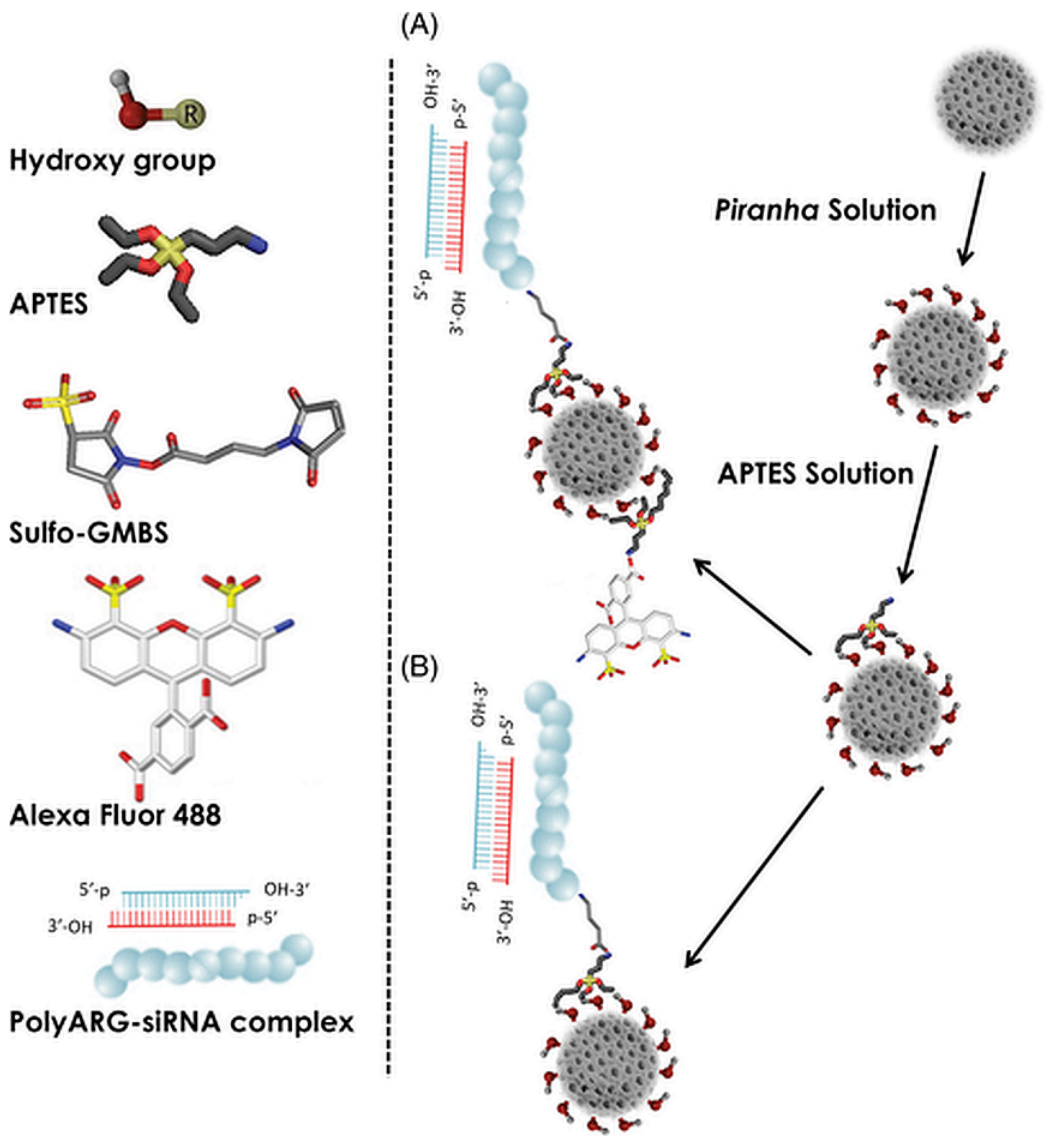 Pharmaceutics 11 00537 g007