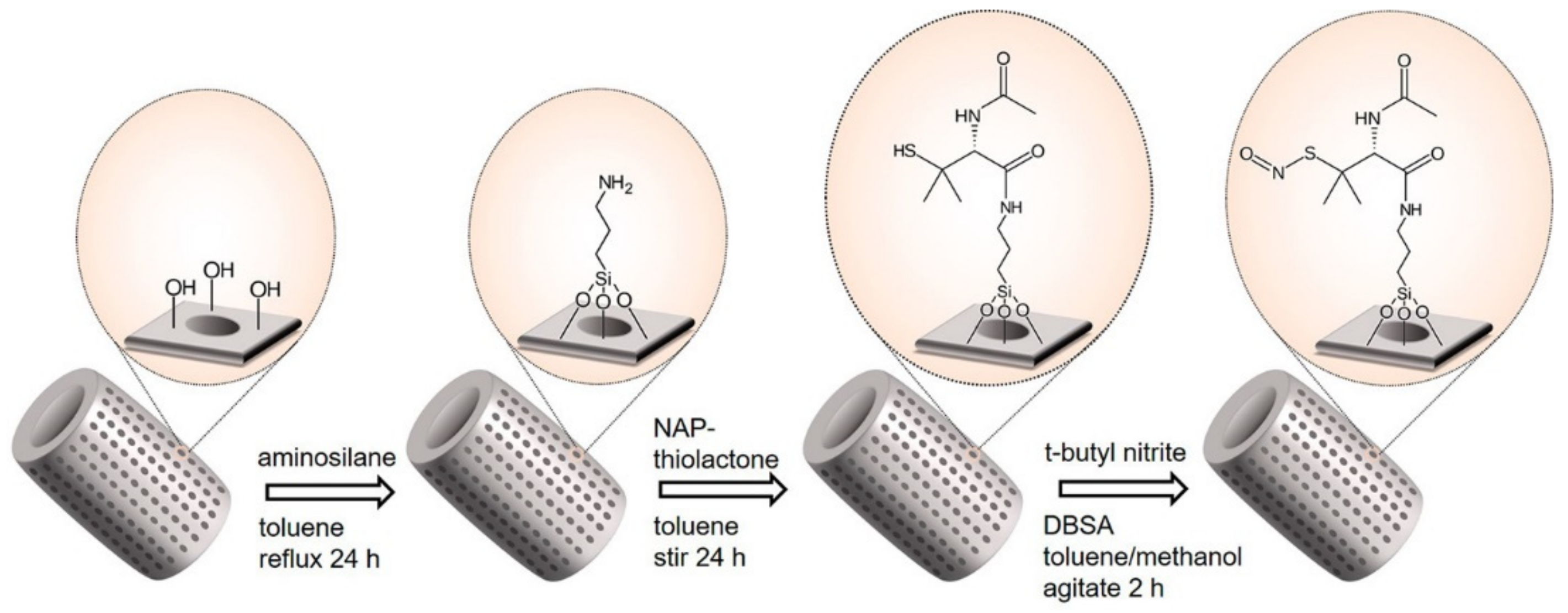 Pharmaceutics 11 00537 g009