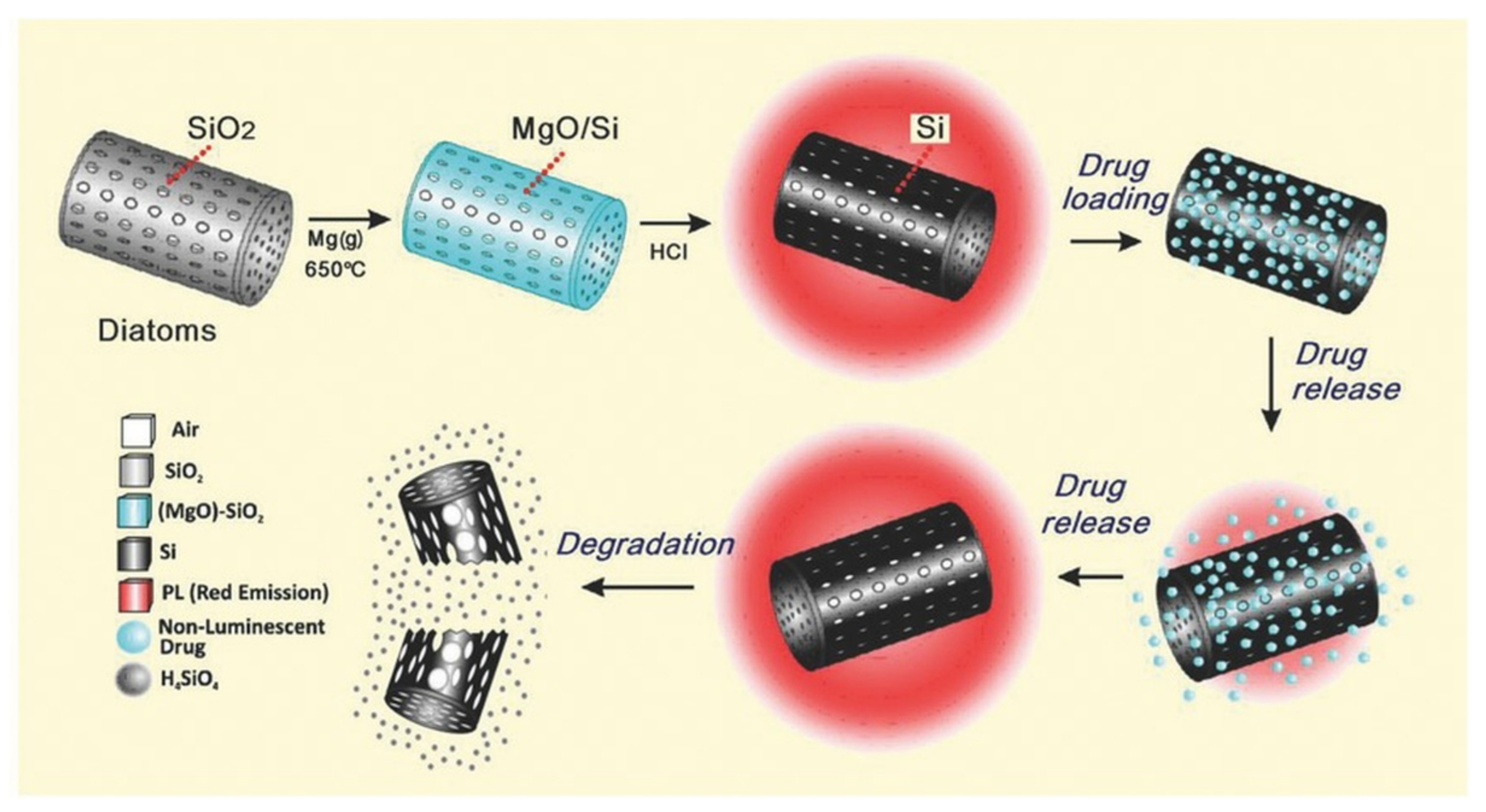 Pharmaceutics 11 00537 g014